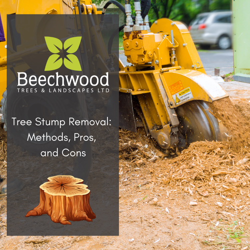 Tree Beating Method Tree Stump Removal: Methods, Pros, and Cons — Beechwood Trees & Landscapes