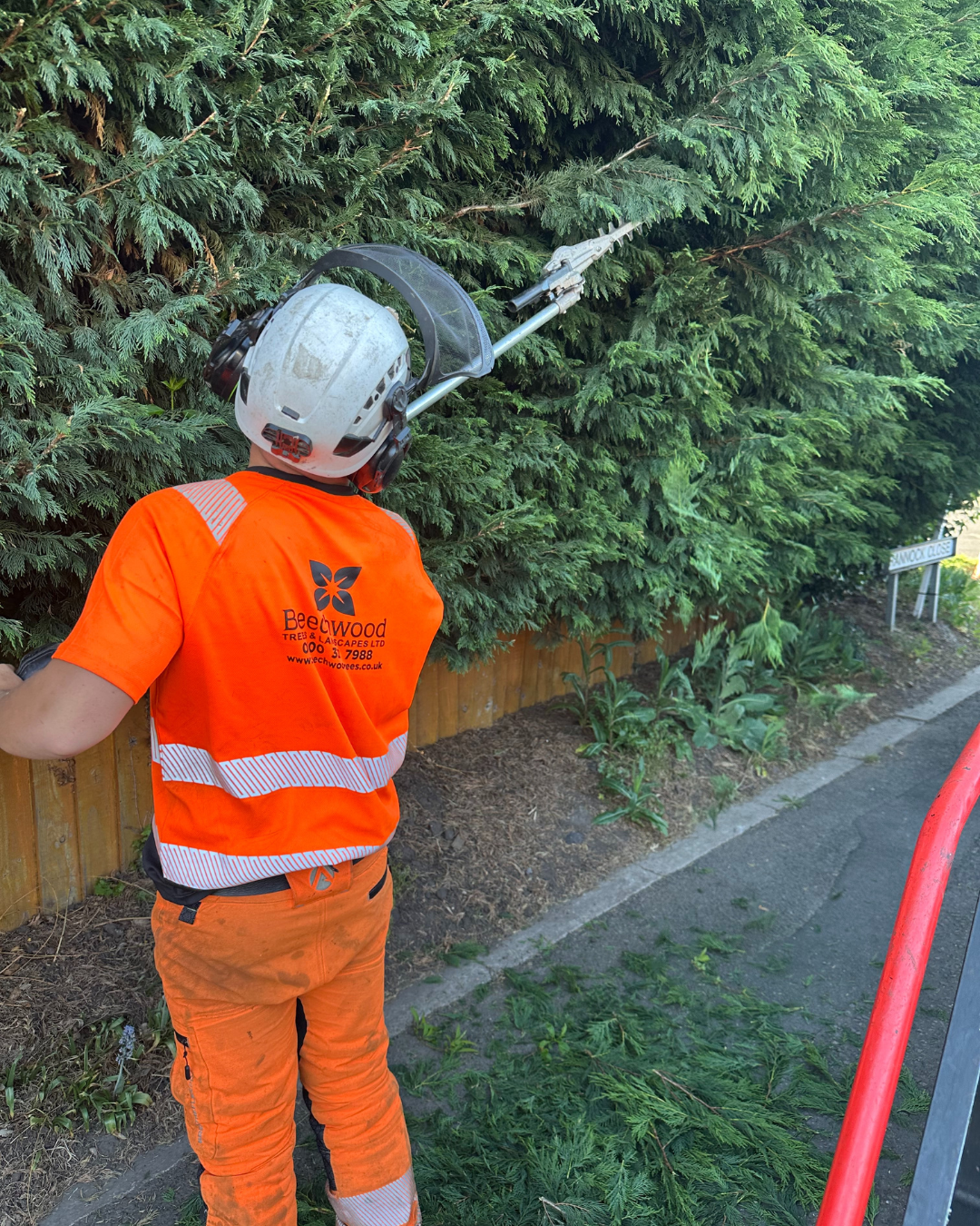 man in hedge high visabilty shirt trimming over grown head with hedge cutters