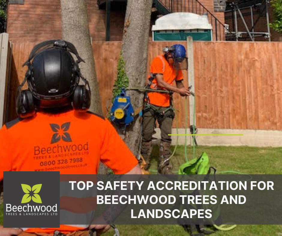 Top Safety Accreditation for Beechwood Trees and Landscapes — Beechwood ...