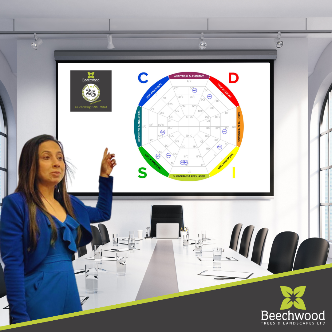 Building a Disc Profile Power Team for Optimal Collaboration and ...