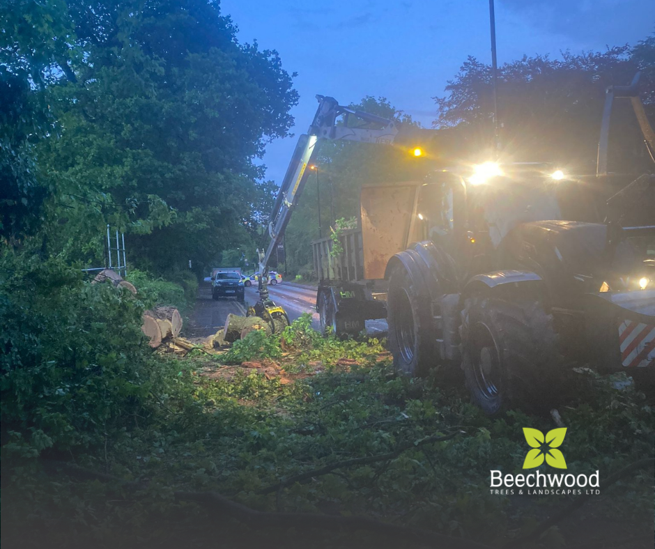Emergency Tree Response — Beechwood Trees & Landscapes