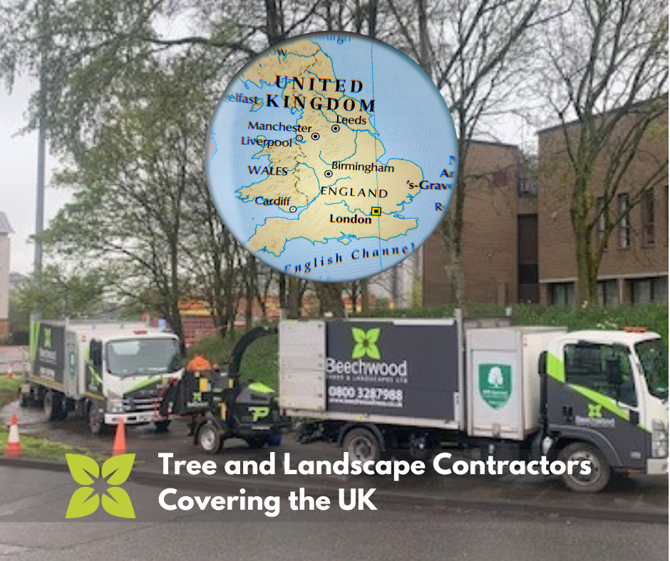 Tree and Landscaping Contractor — Beechwood Trees & Landscapes