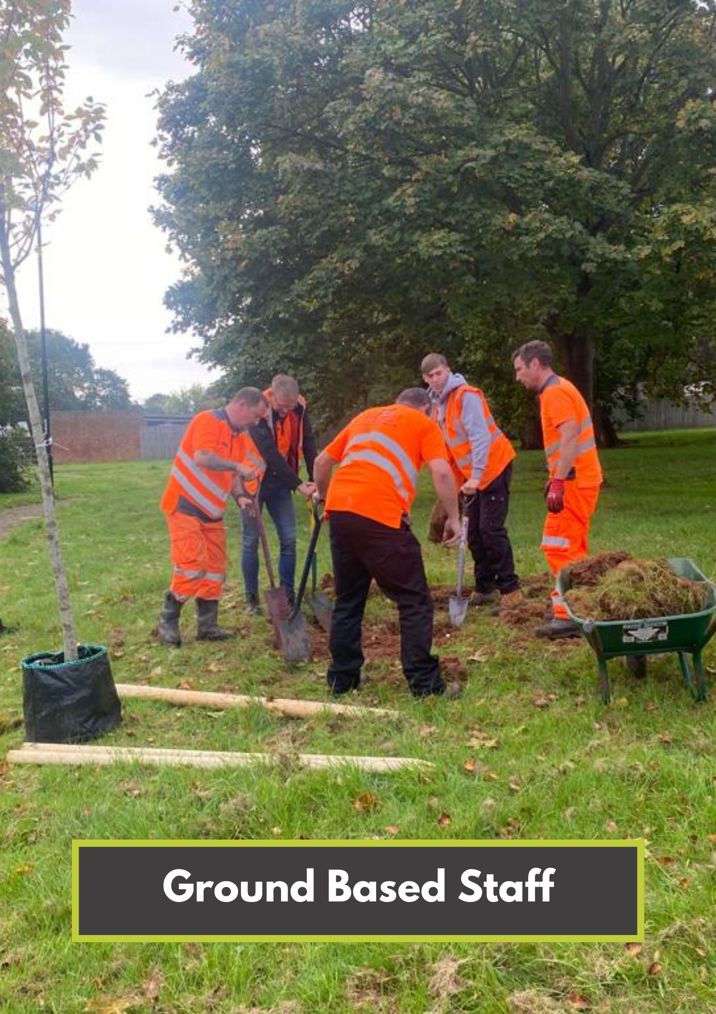 Ground Maintenance Services — Beechwood Trees & Landscapes