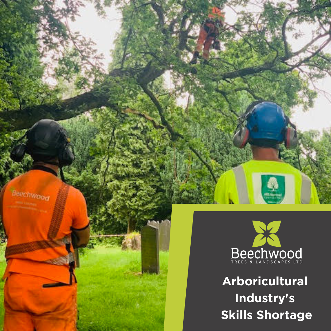 Arboricultural Industry's Skills Shortage — Beechwood Trees & Landscapes