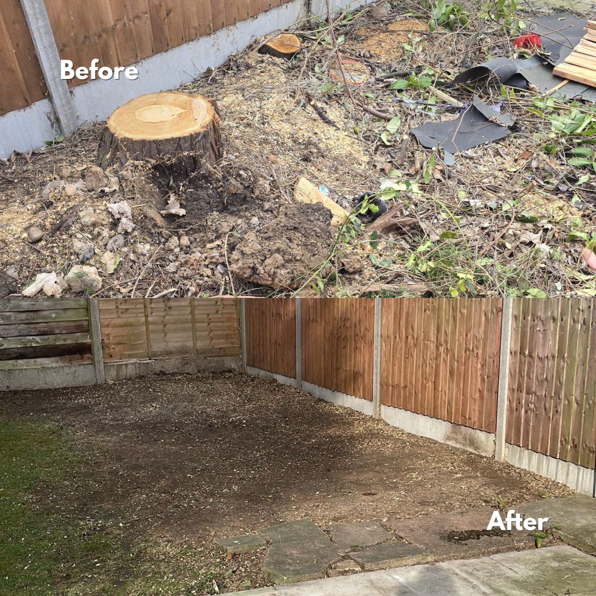 What to Do After a Tree is Felled — Beechwood Trees & Landscapes