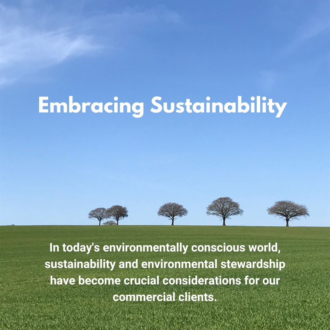 Embracing Sustainability — Beechwood Trees & Landscapes
