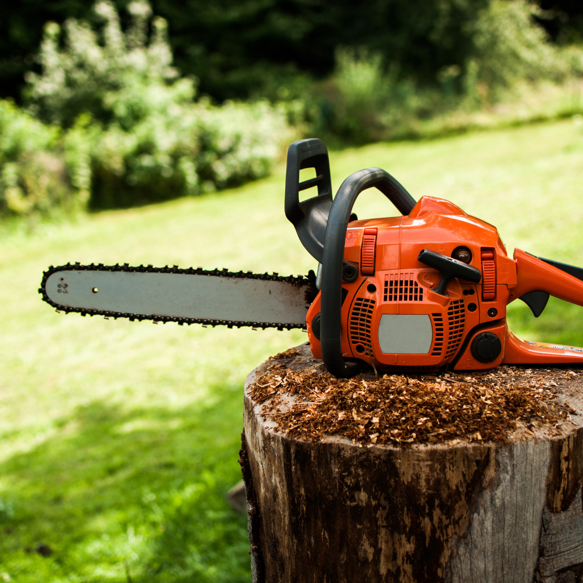 Chainsaw rested on top of a thick, freshly-cut stump.