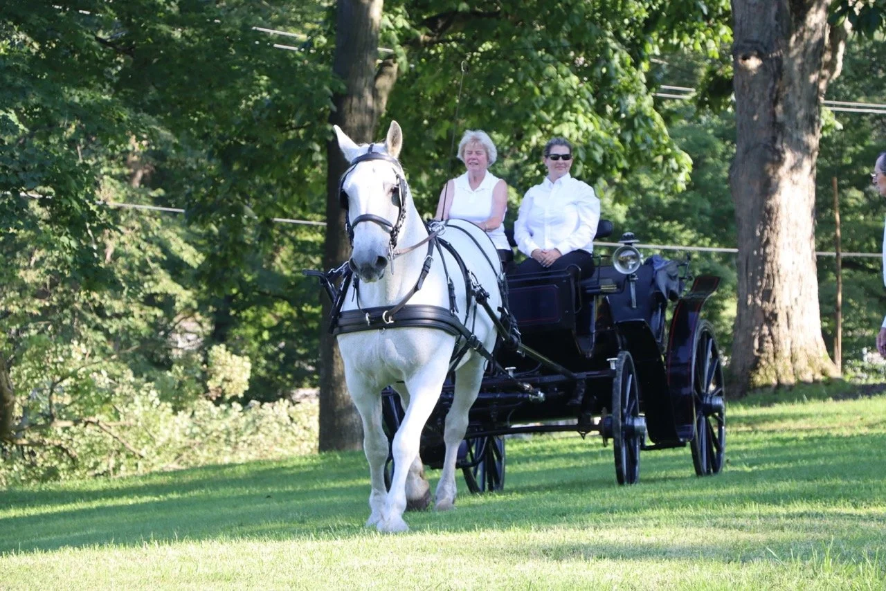 White horse pulling a carriage with two people seated in a park setting.