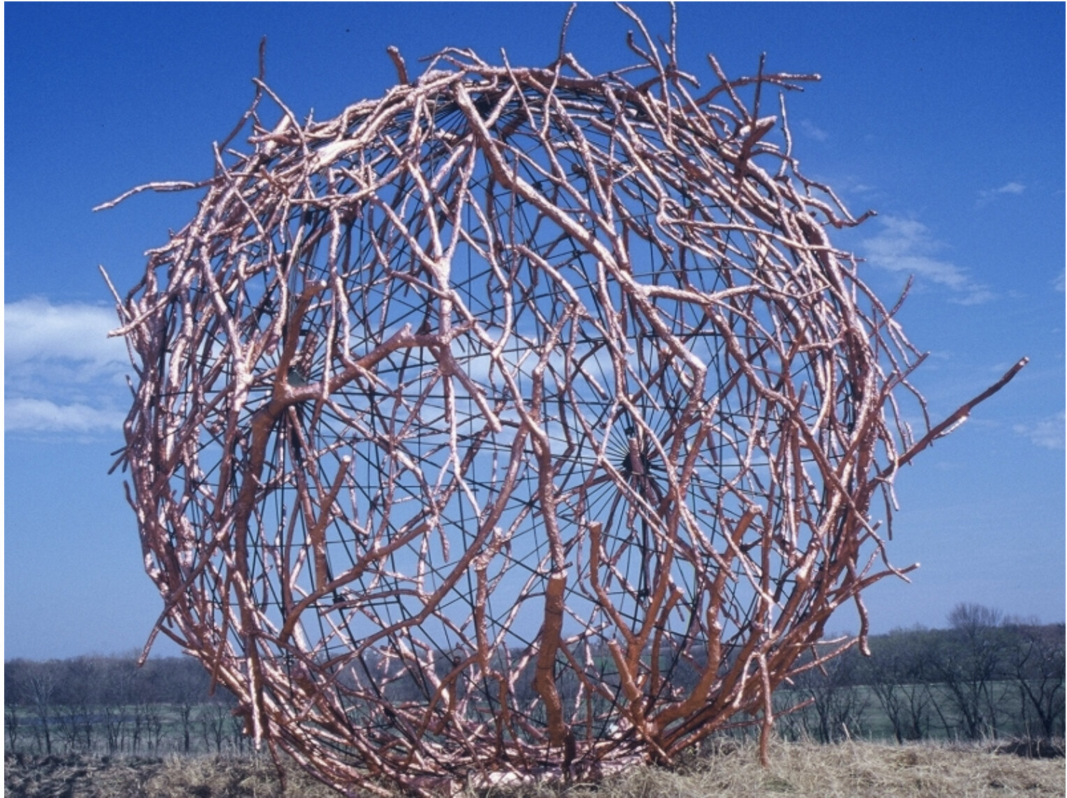 Jewel (2000) collaboration with Debbie McNulty sticks, copper foil, steel  Connemara Conservancy, Plano, TX.jpg