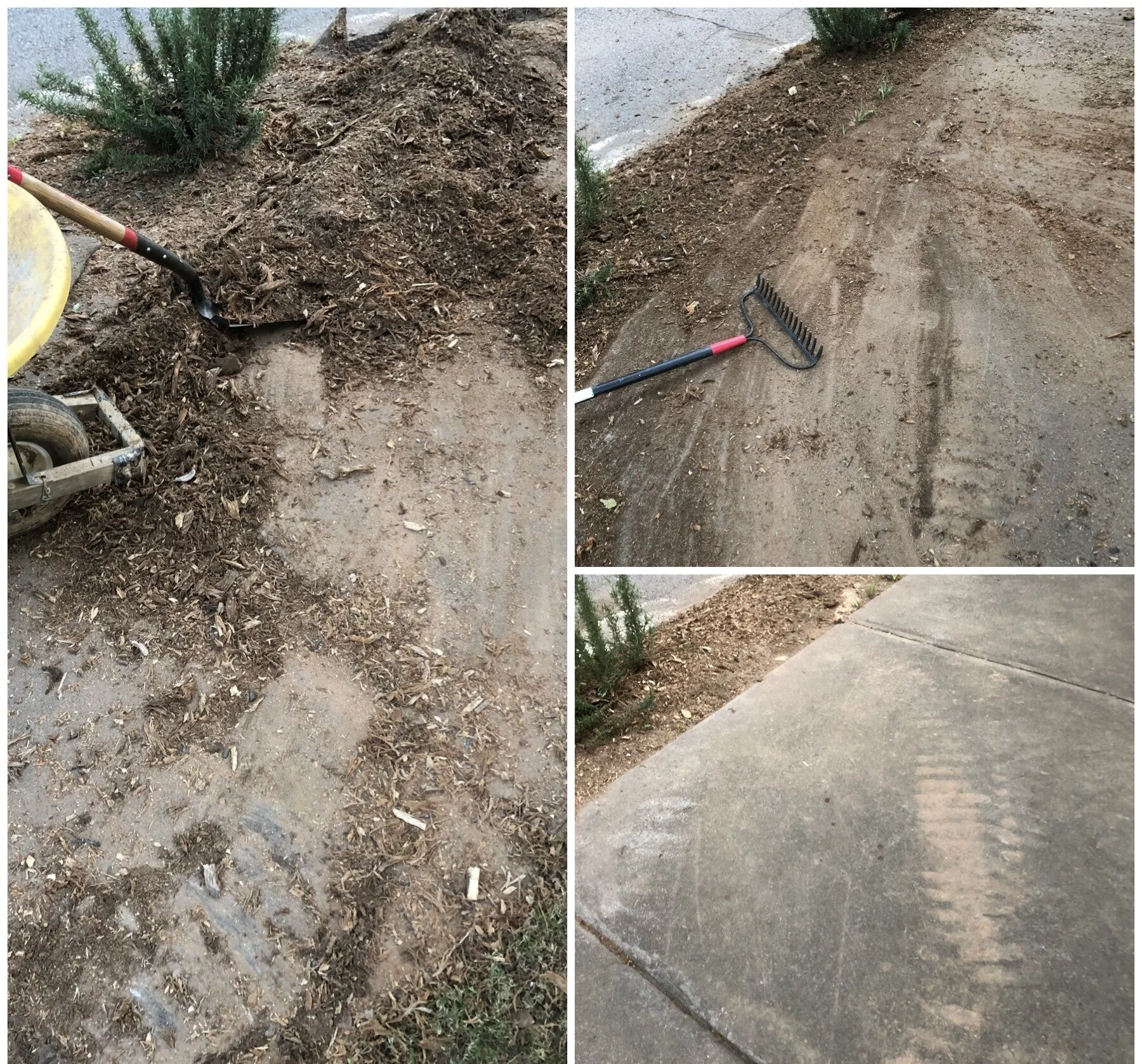 Cleaning up after stump grinding