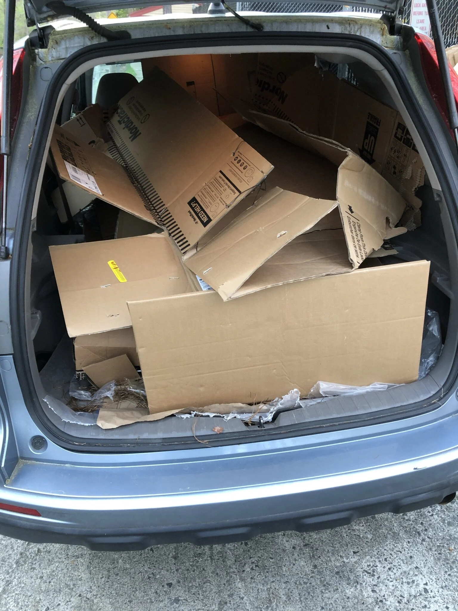Taking cardboard boxes to recycling