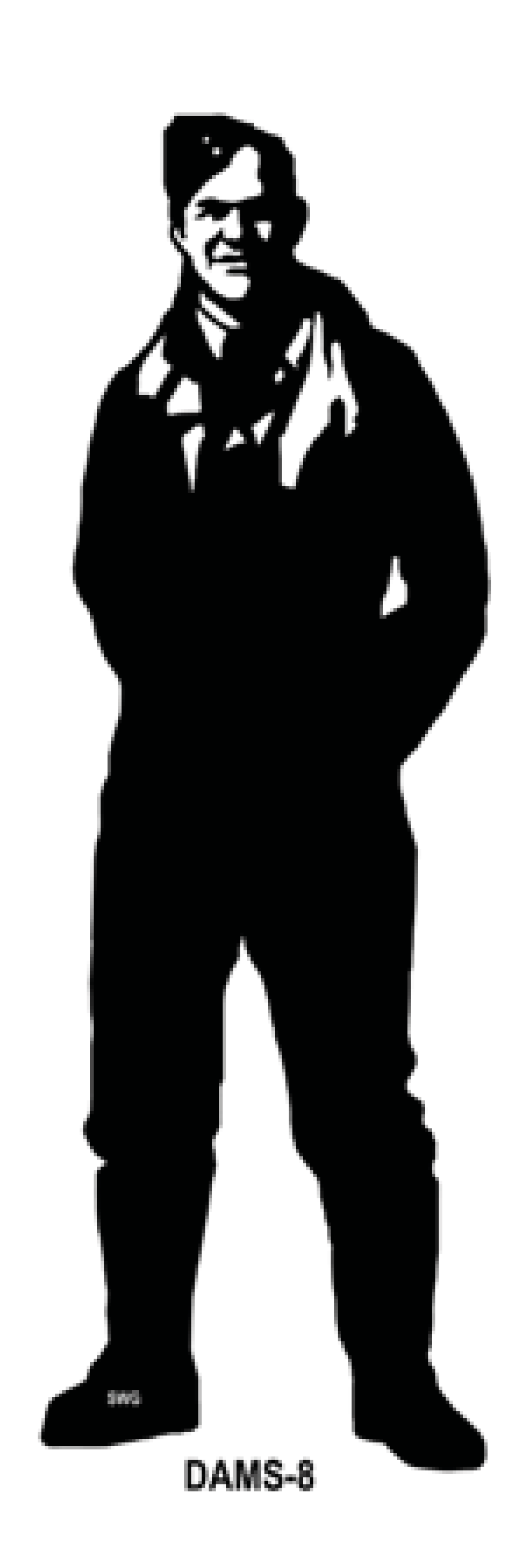 DAMS-8