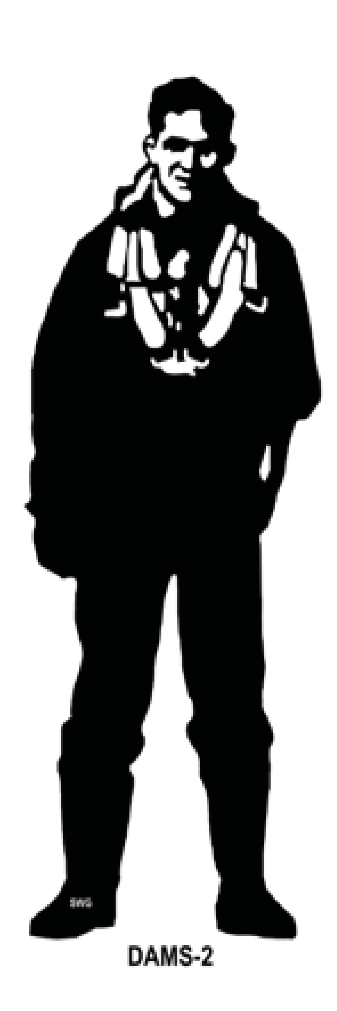 DAMS-2