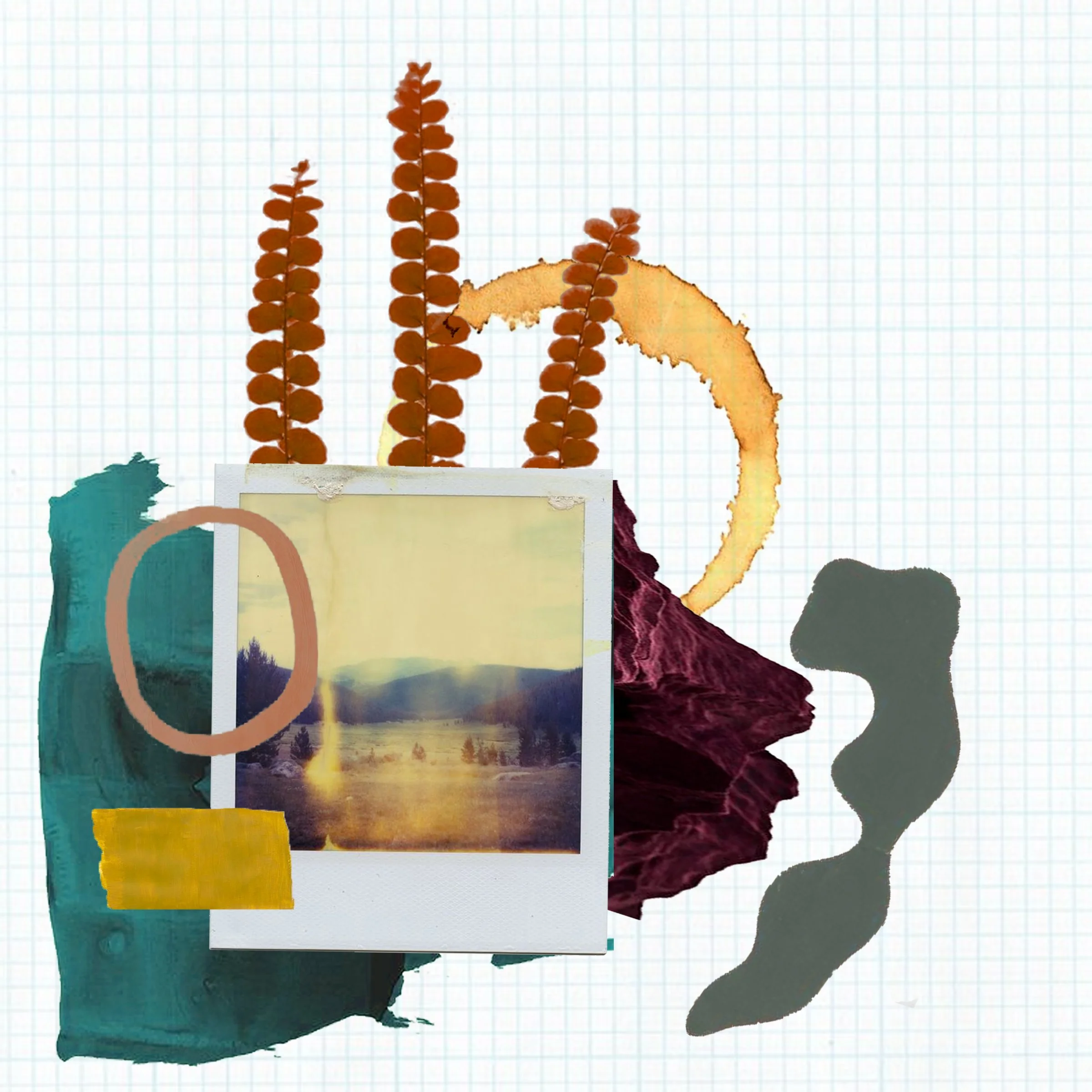 collage 3.jpg