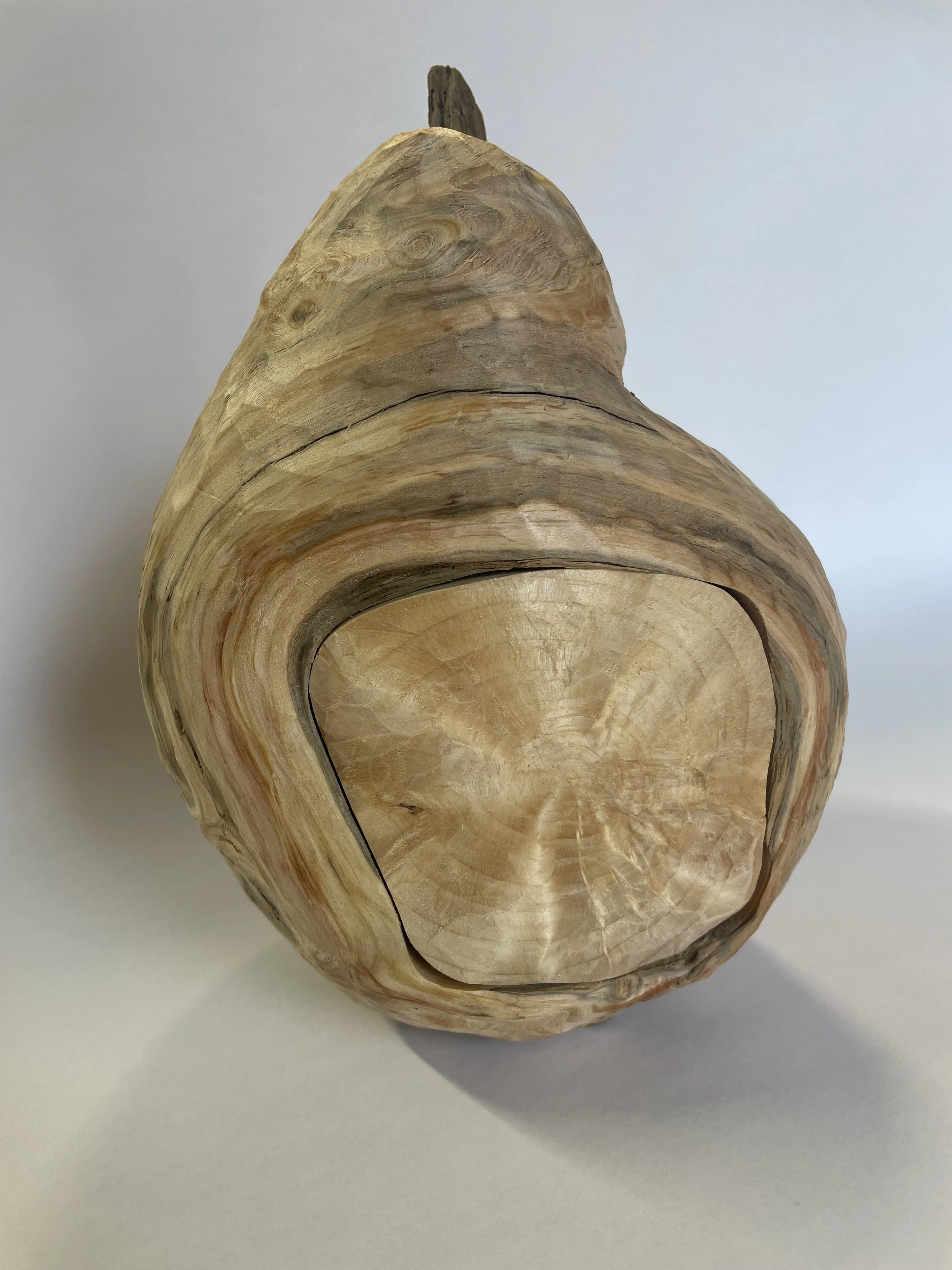"Fruit" sculpture in fir 2026
