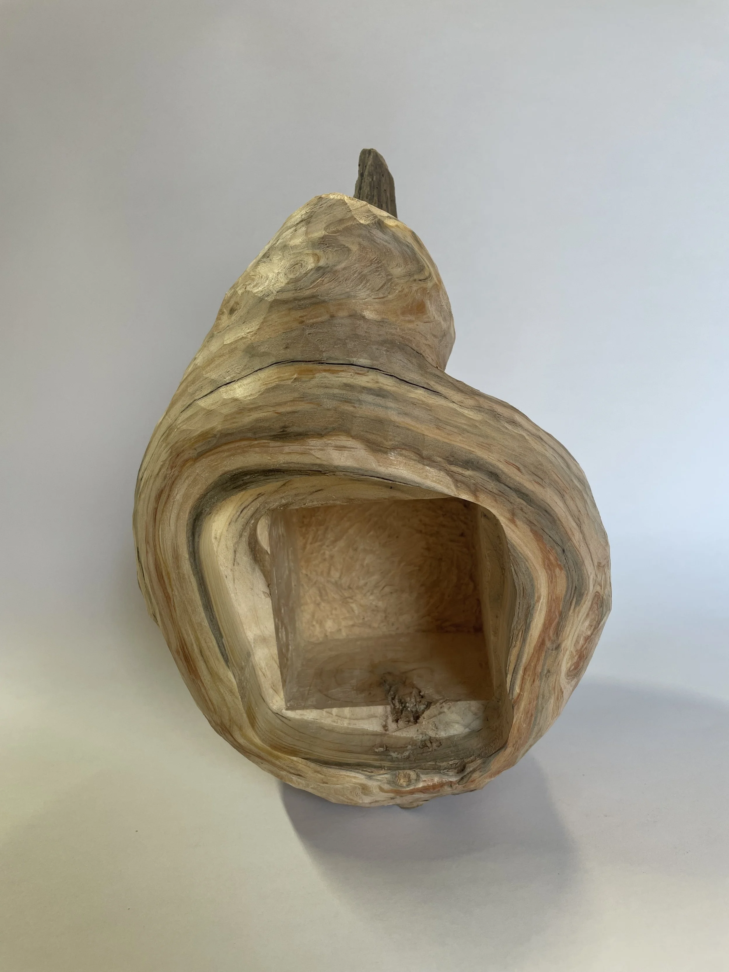 "Fruit" sculpture in fir 2026