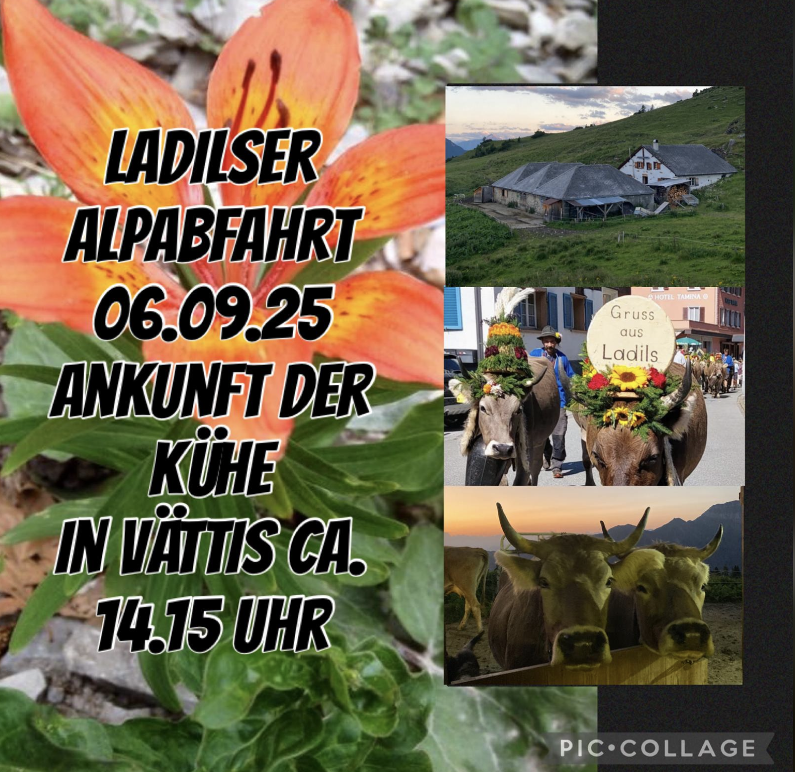 Alpabfahrt Ladils (Vättnerberg) mit Festwirtschaft