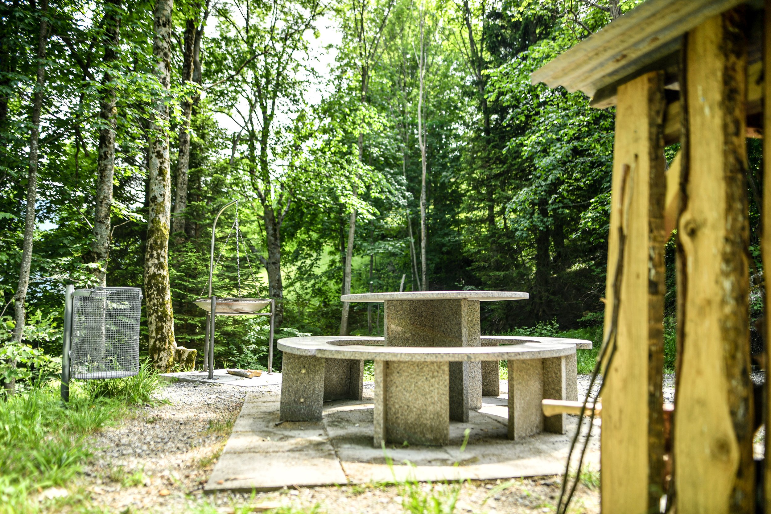 Saggaweiher 3 Kopie.jpg