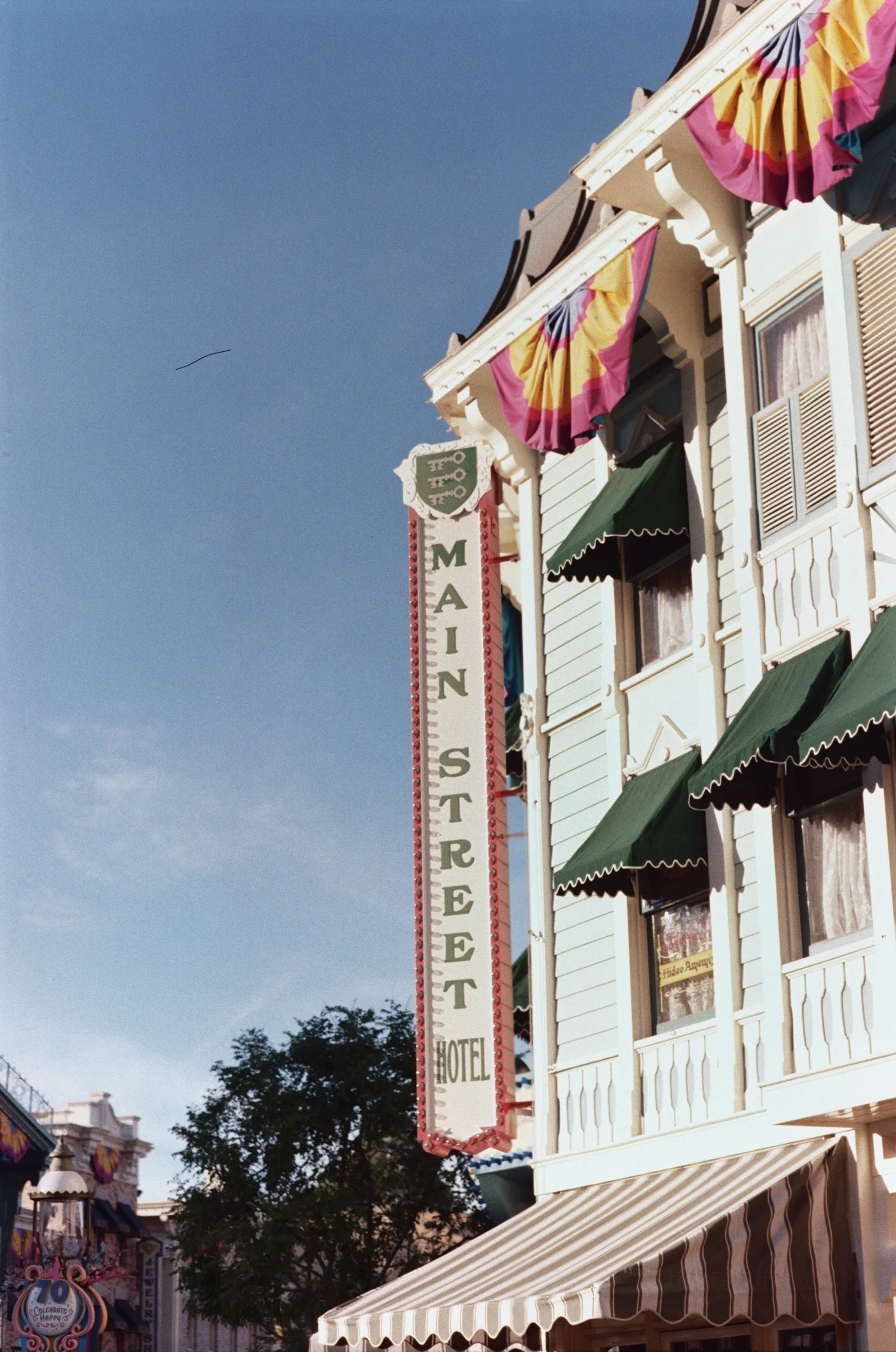 Medium format film photograph