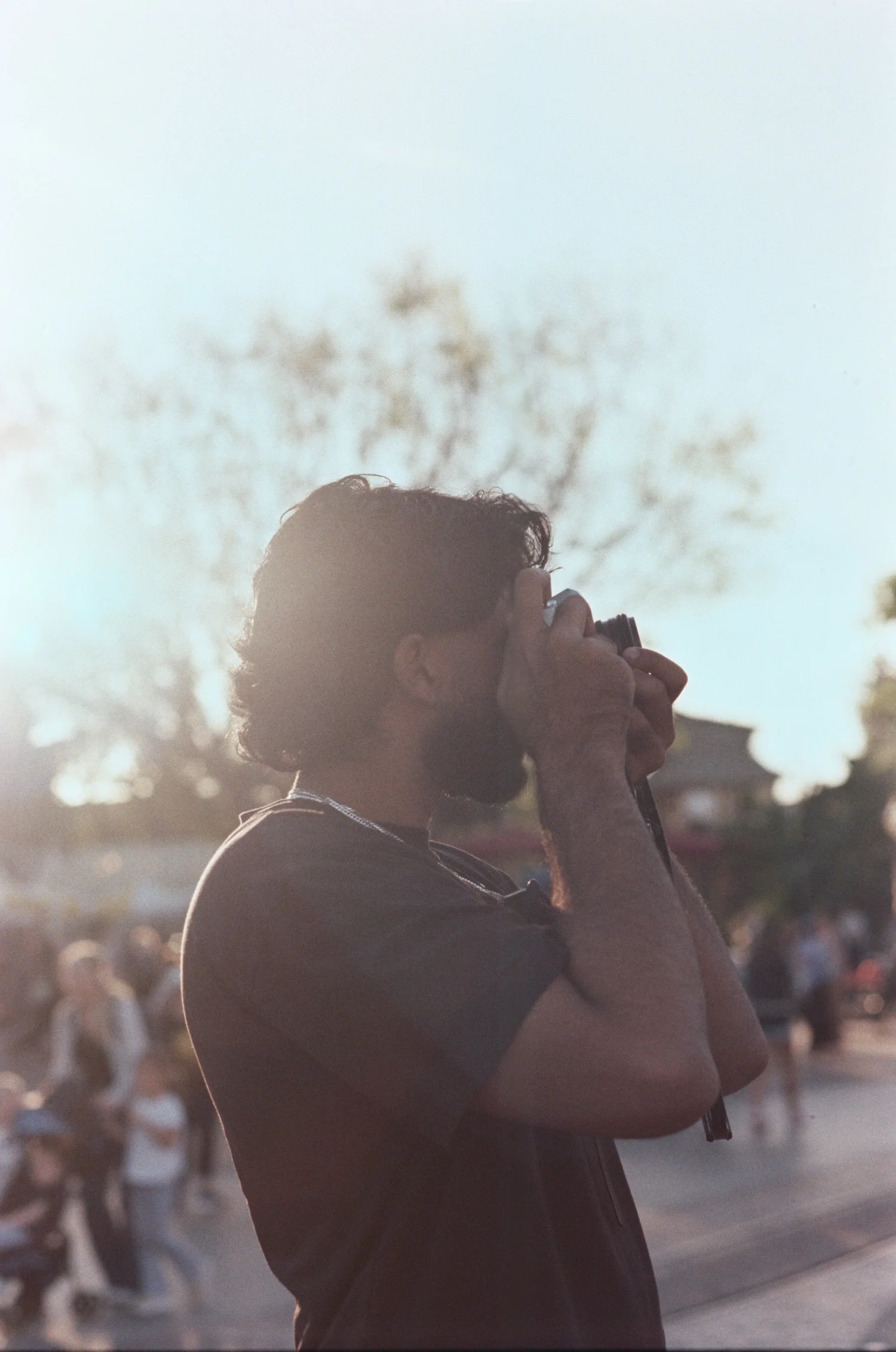 Medium format film photograph