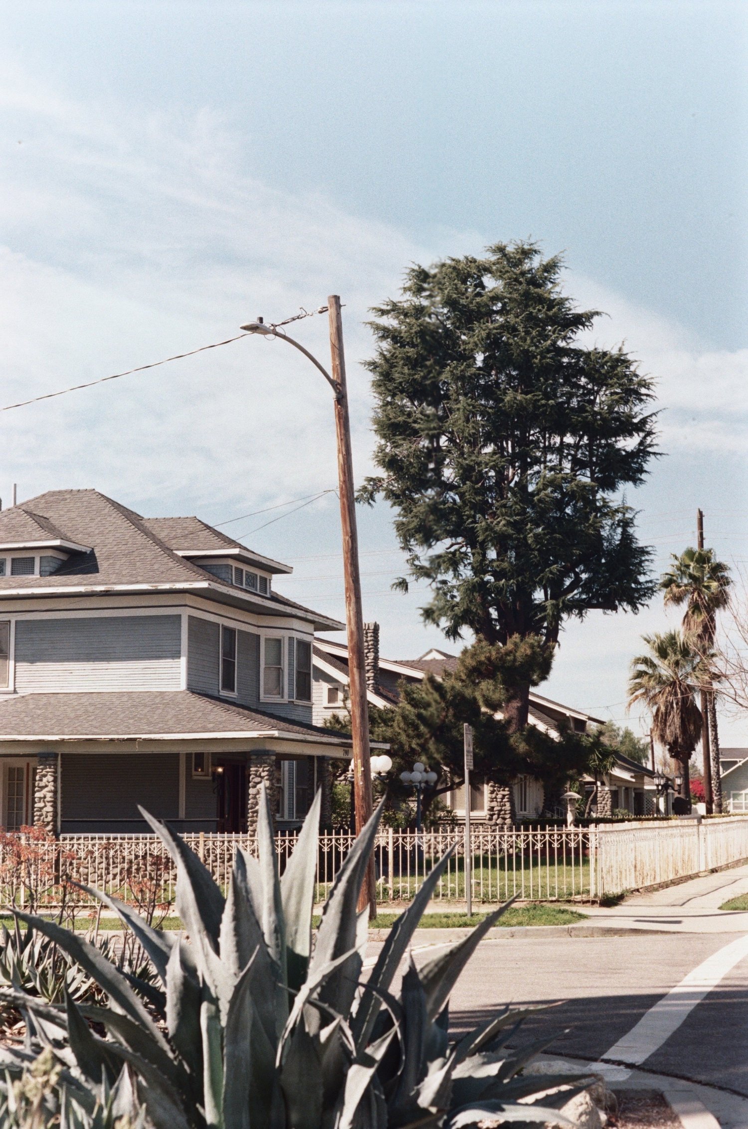 Medium format film photograph