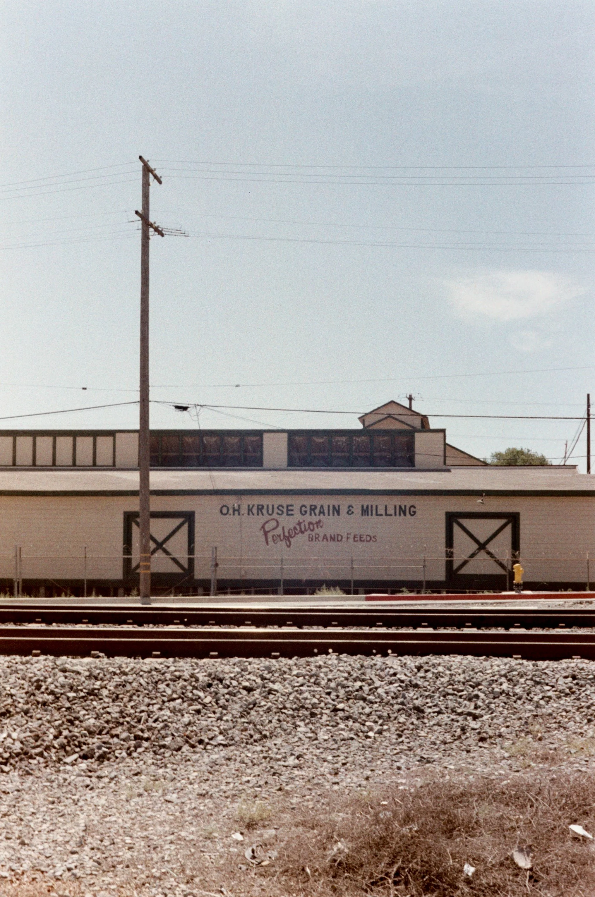 009_9.JPG