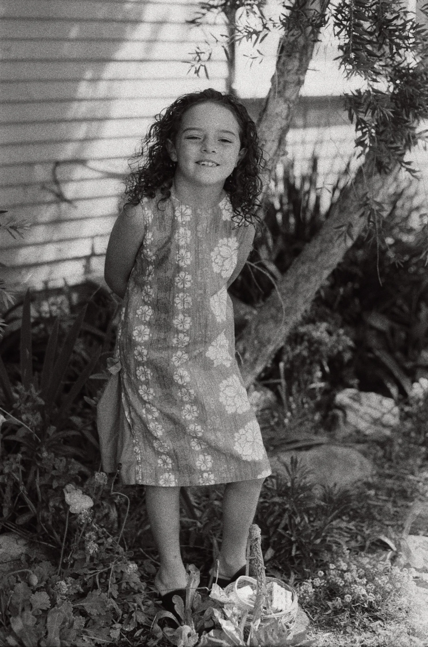 Film photograph