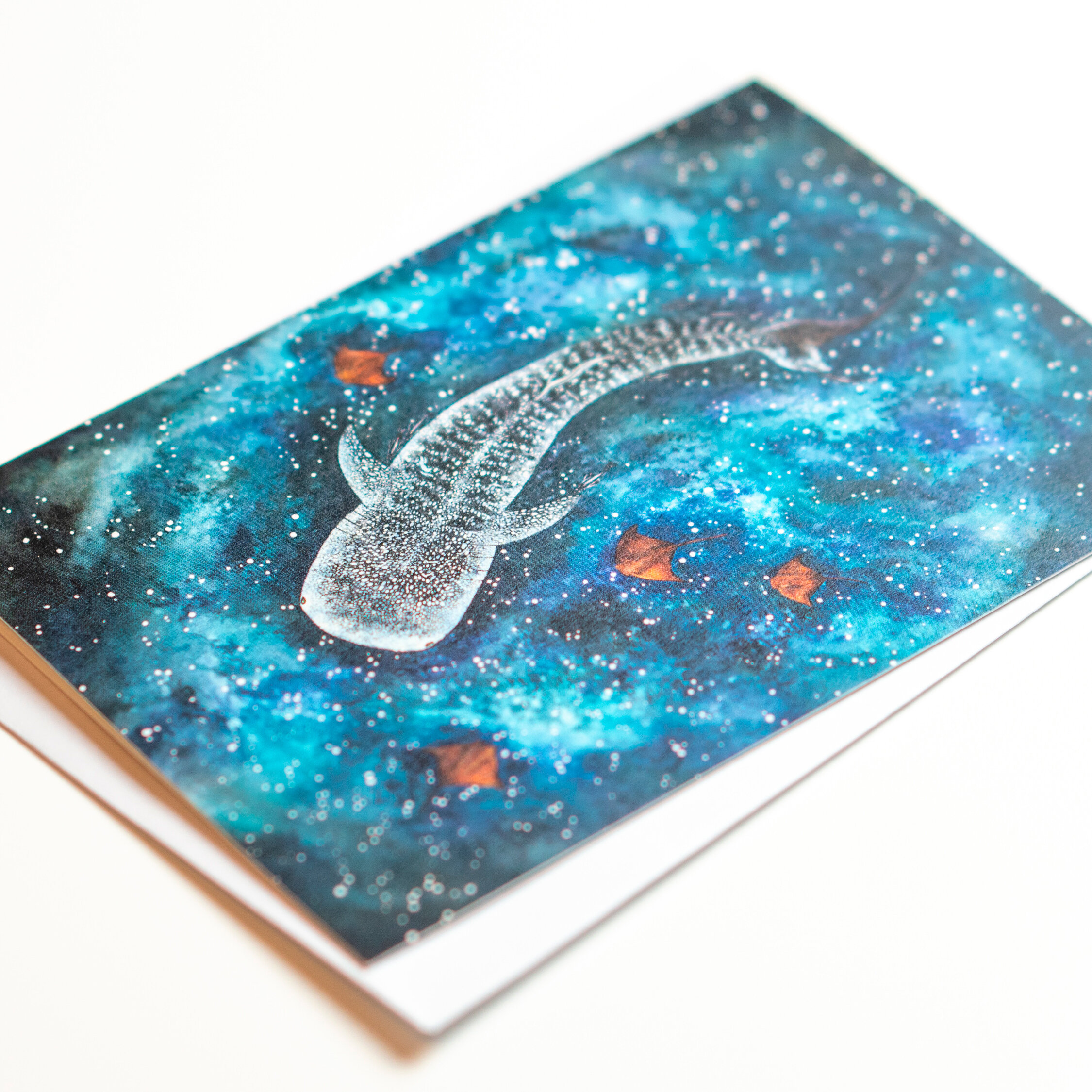 SQ-Whale-shark-Card-2.jpg
