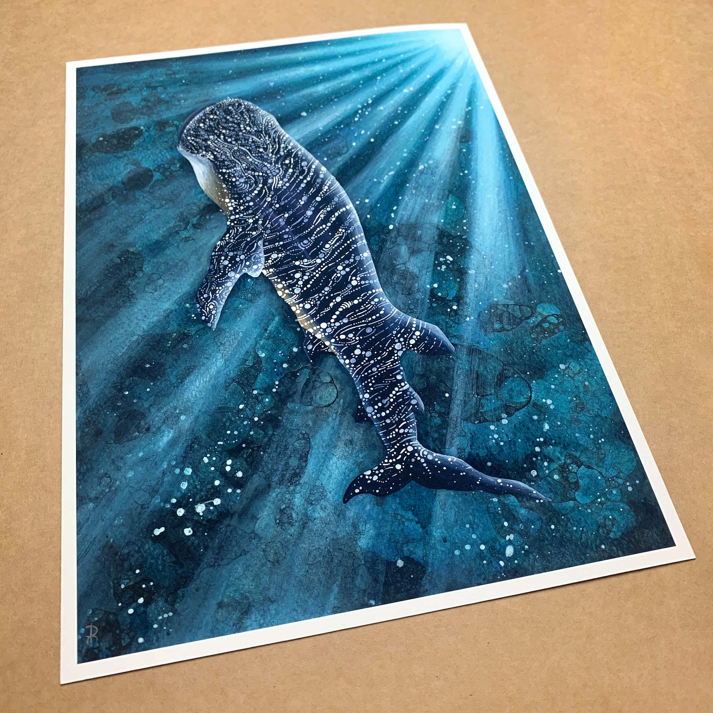 Whaleshark Light Print 7.1.jpg