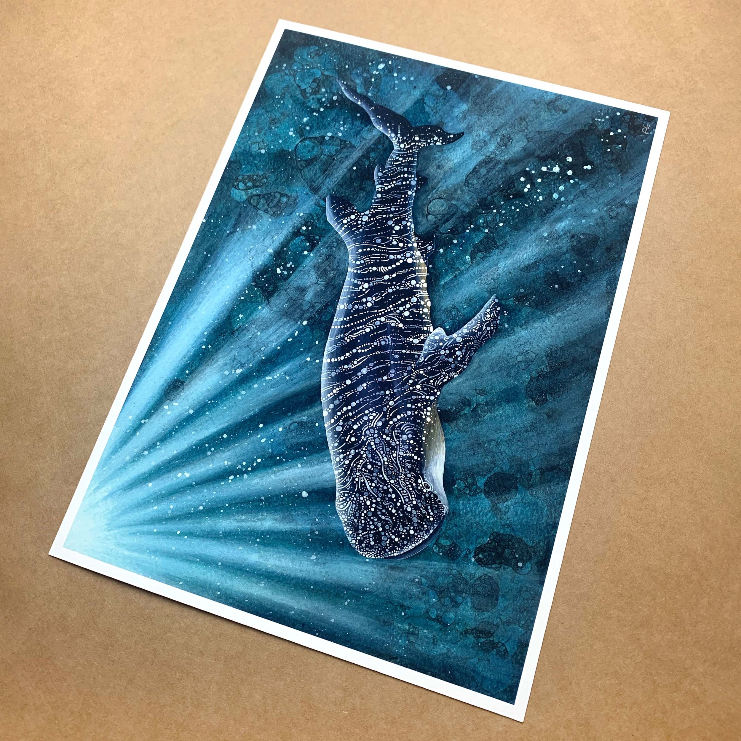 Whaleshark Light Print 4.1.jpg