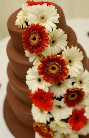 Smooth+chocolate+wedding+cake+with+gerberas.jpg
