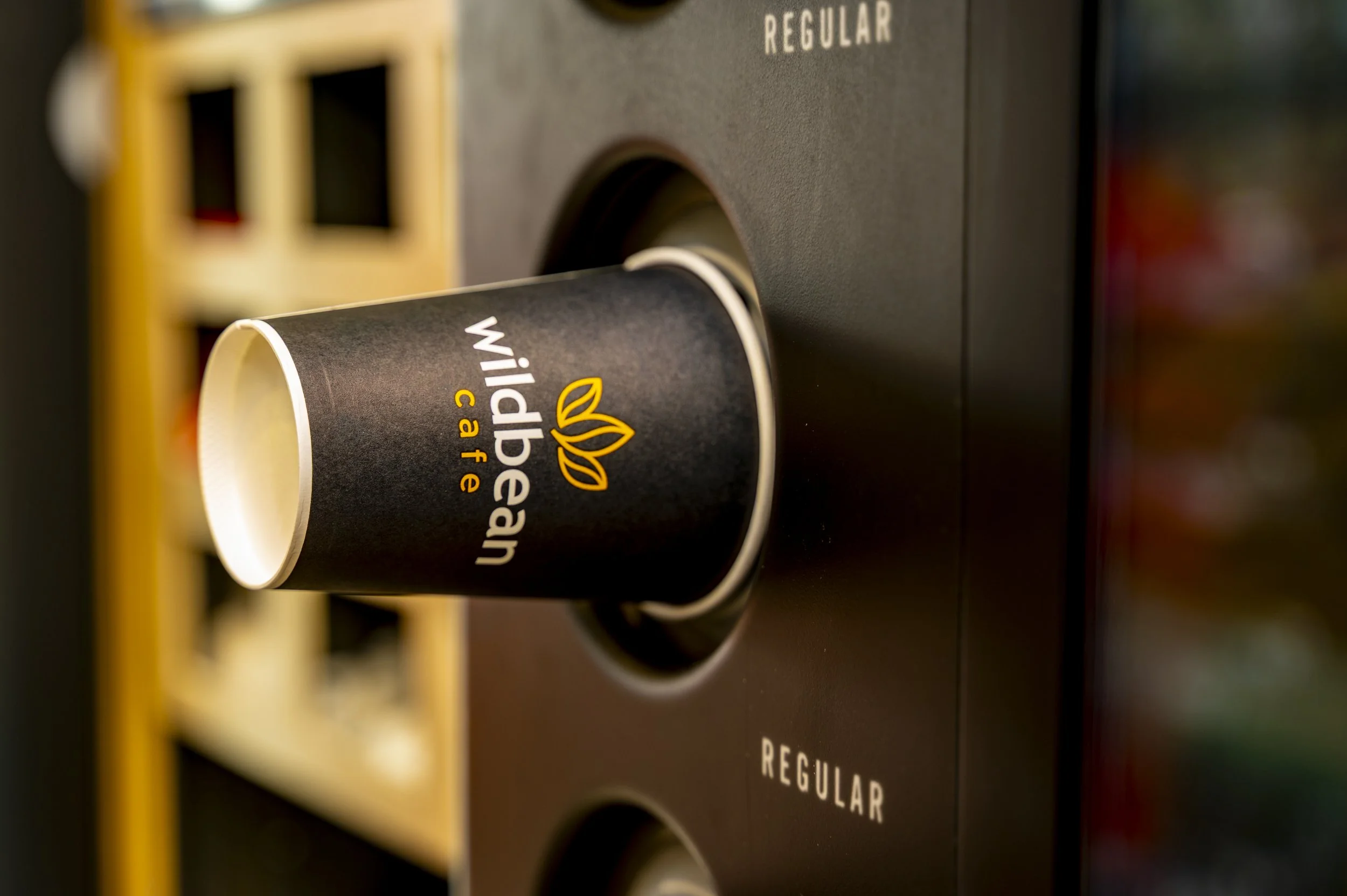 BP Smaller File Images-29.jpg