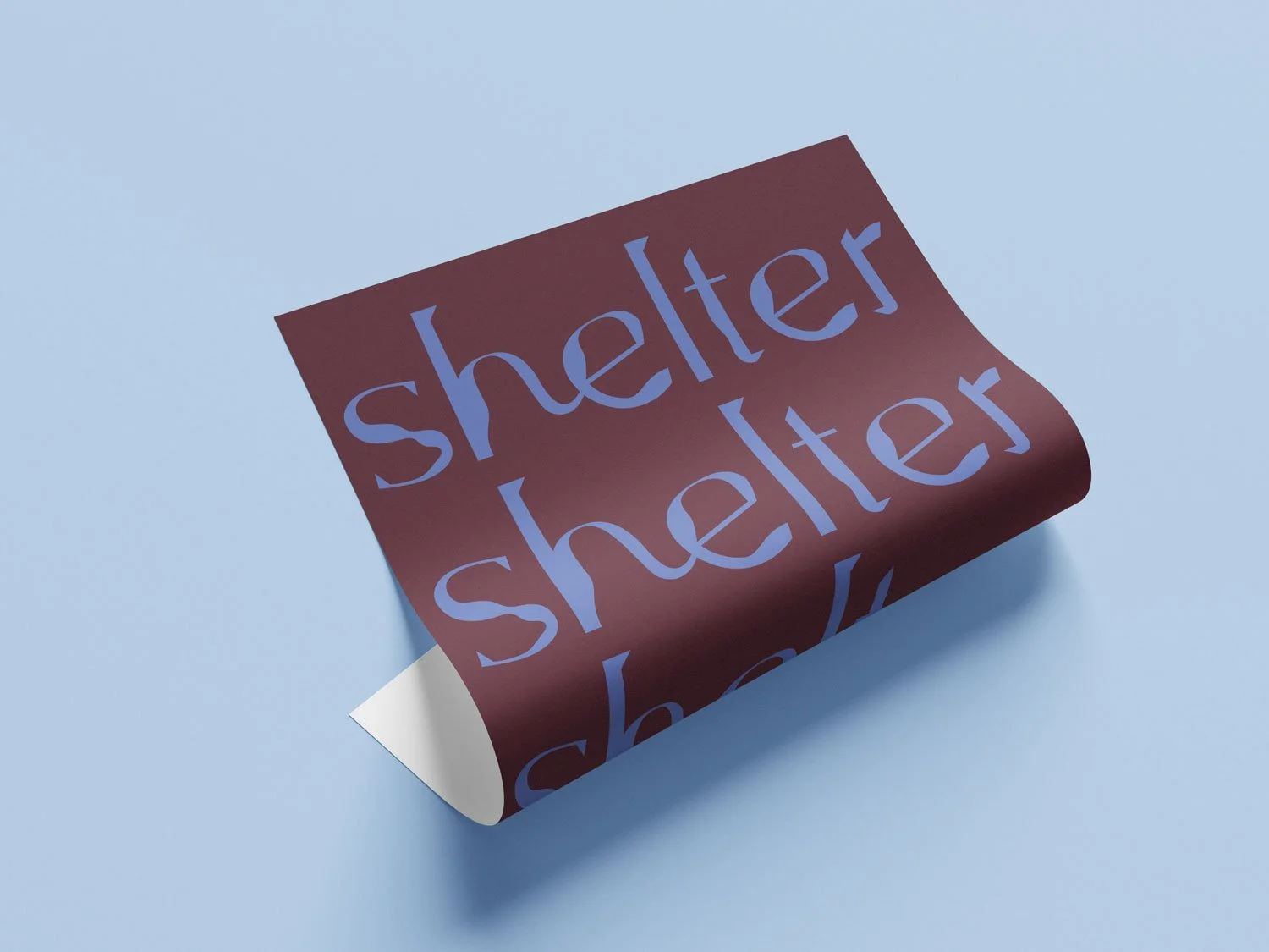 A crumpled piece of paper with the word "shelter" written repeatedly in lavender font on a dark pink background, on a light blue surface.