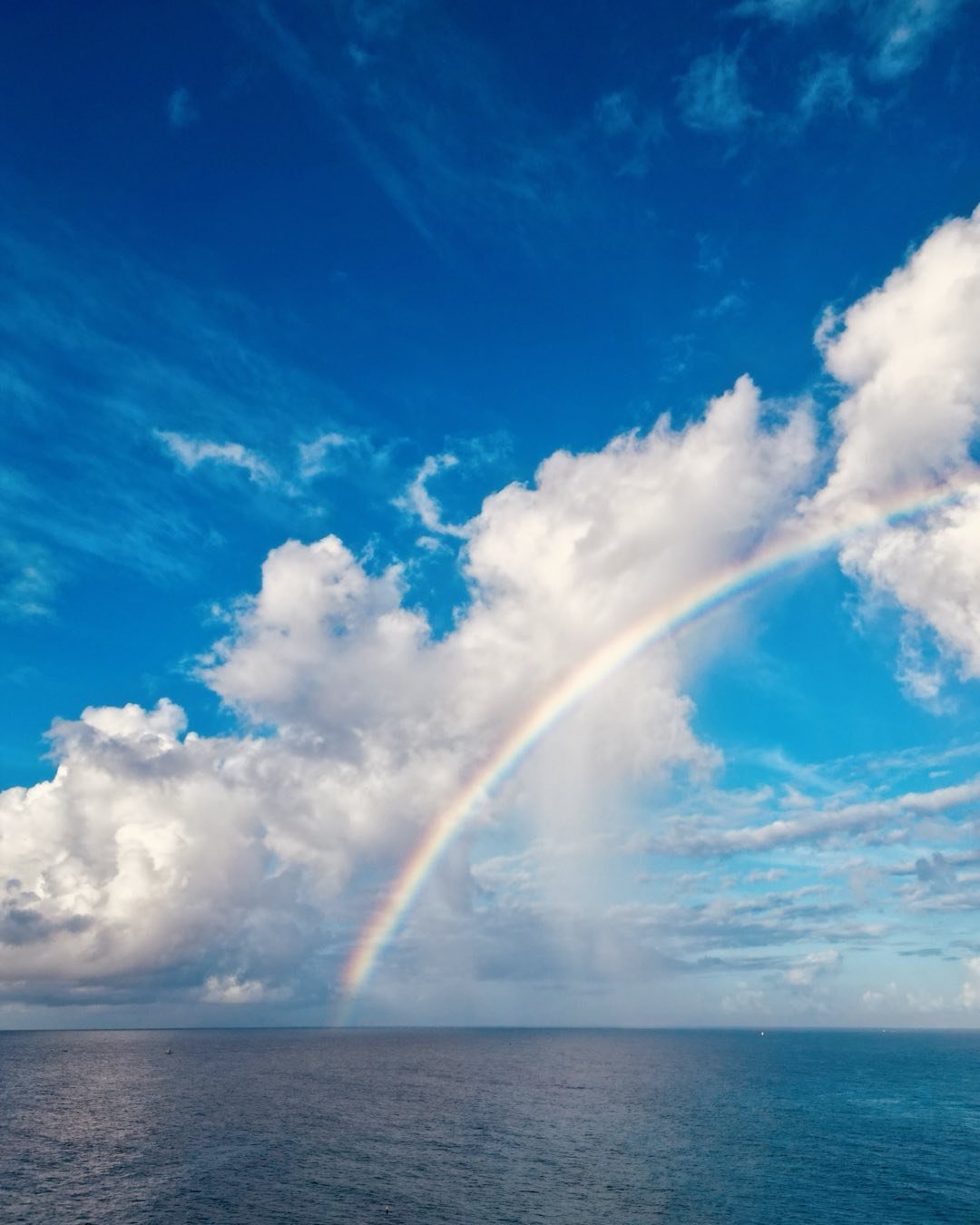 Barbados 🇧🇧 🌊🙌🐠🏴&zwj;☠️💛🌈