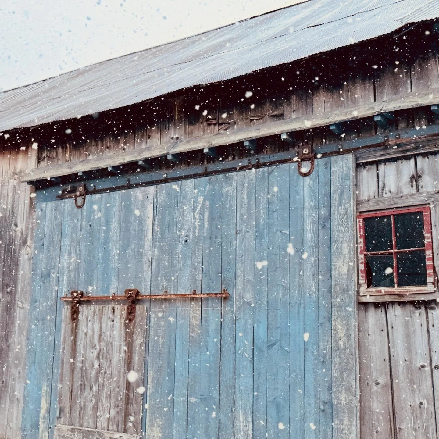 A few moments from a sweet, snowy Winter season.&nbsp; It&rsquo;s hard to believe that just last week snowflakes were still drifting down in front of this Nebraska Valley barn. &nbsp;

Today finally feels like springtime in Vermont and we&rsquo;re al