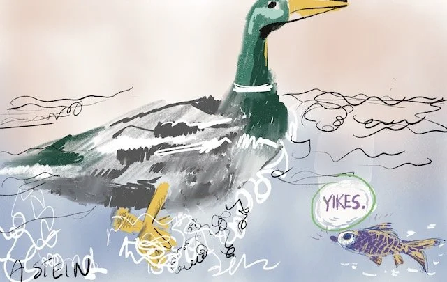 Floaters in the Pool