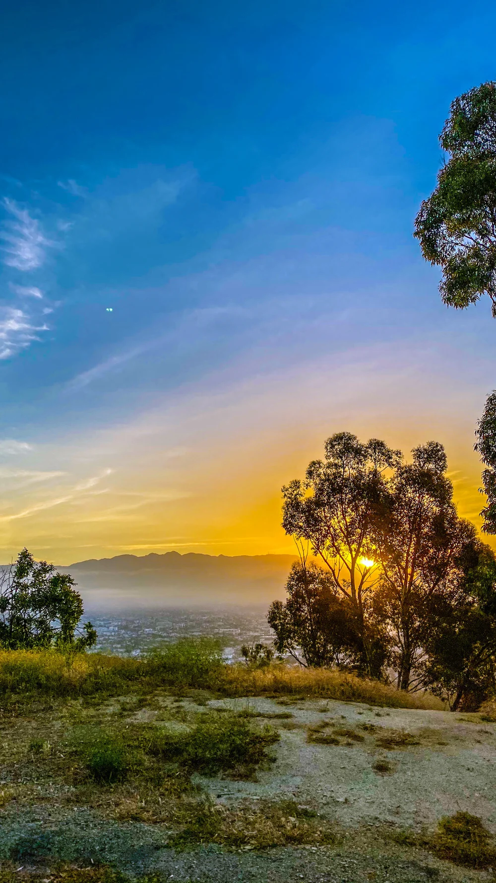Scott Roegner_10k in One Day_Griffith Park Sunrise Edit.JPEG