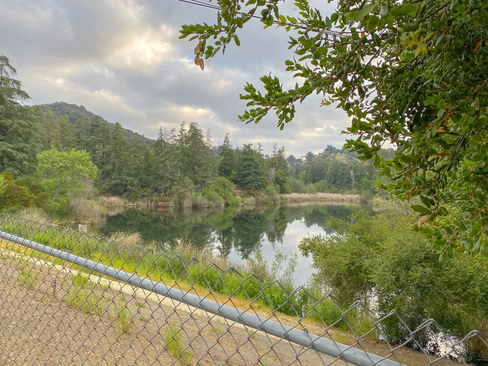 Scott Roegner_10k in One Day_Franklin Canyon.JPEG