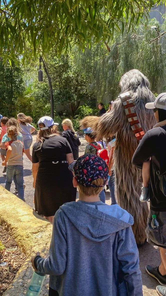 Chewbacca at Disneyland.jpeg
