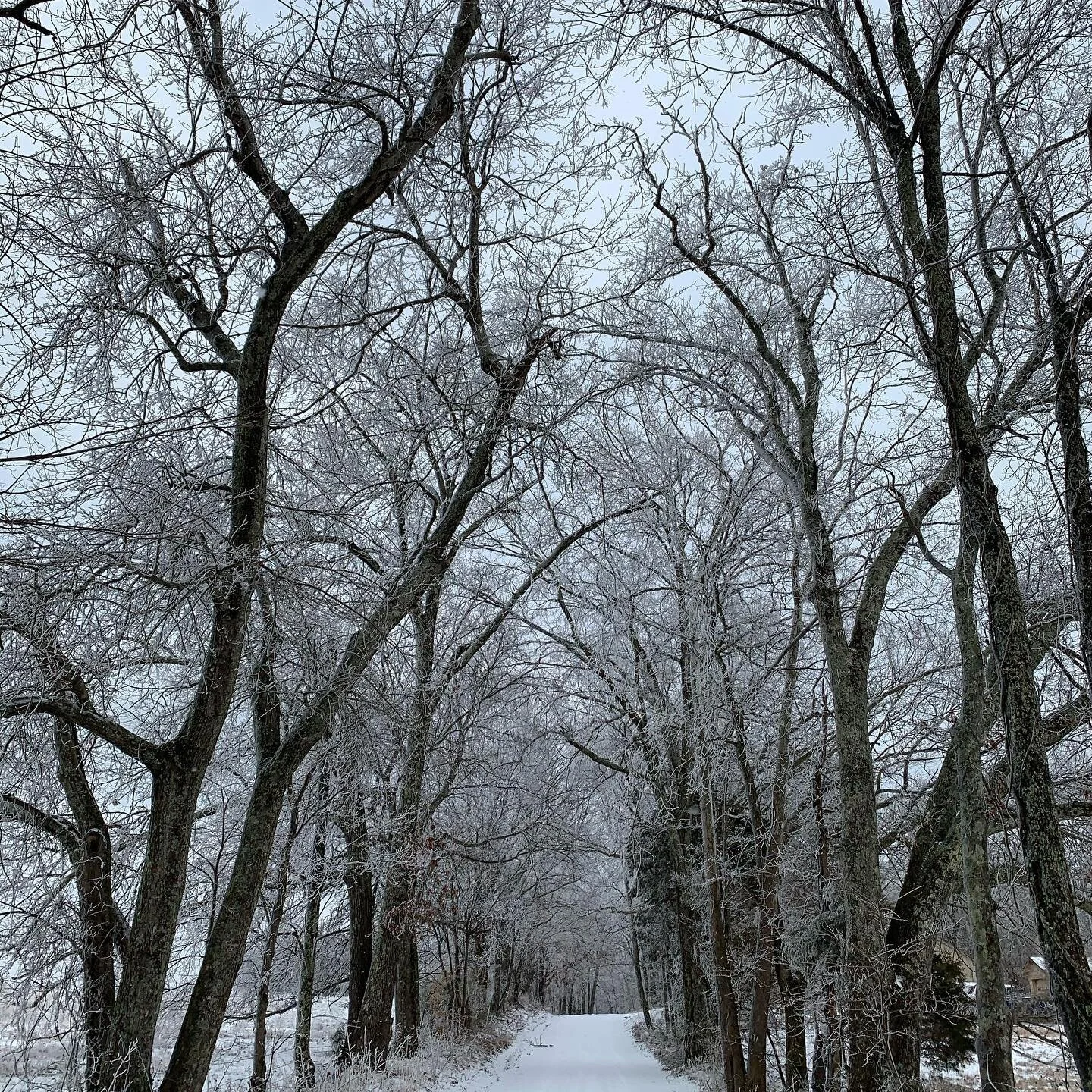 Grateful for power and road that keeps in the riffraff.