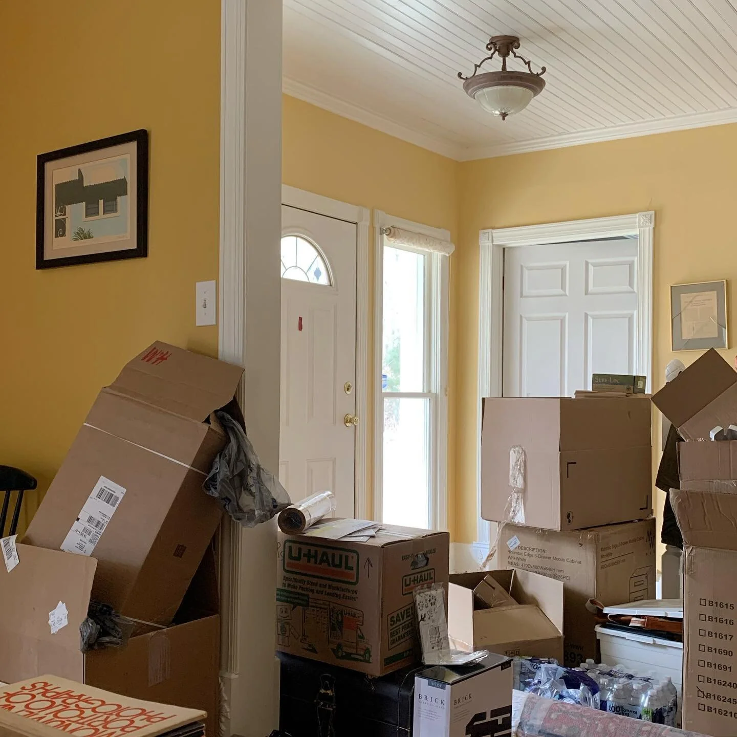 She&rsquo;s beauty and she&rsquo;s grace 🎶