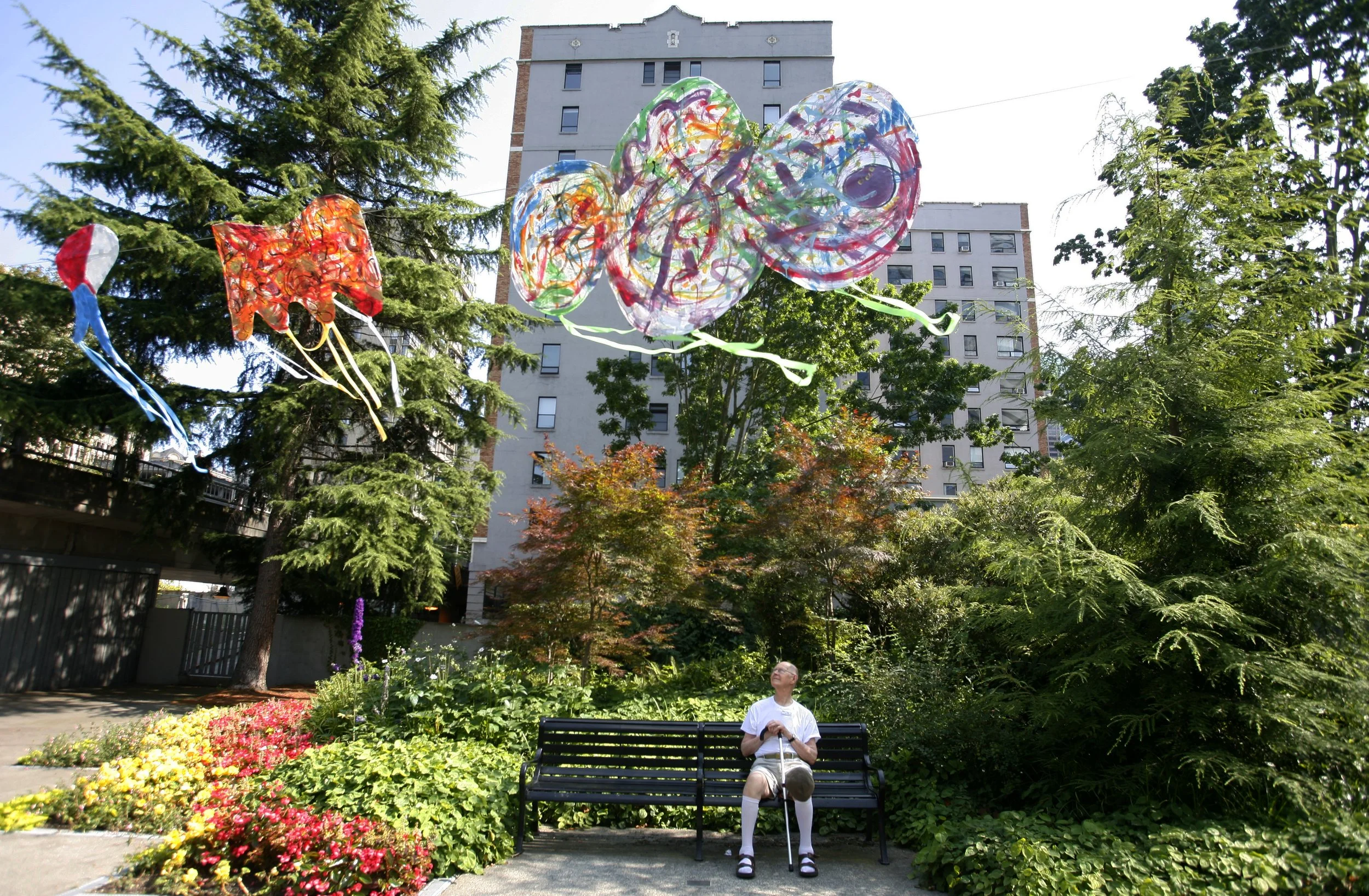 The Flying Free Way Kite Project