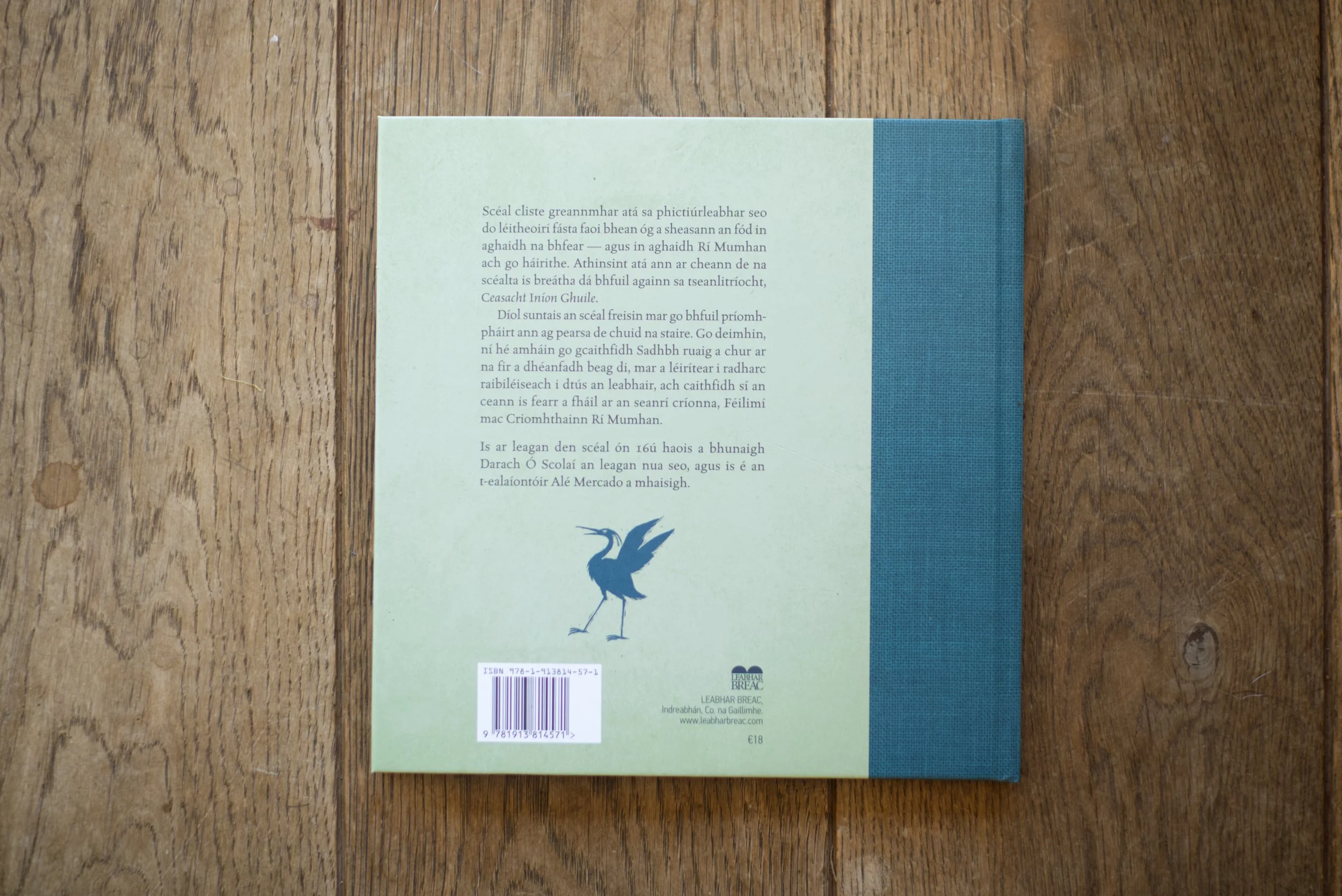 Sadhbh_BackCover.jpg
