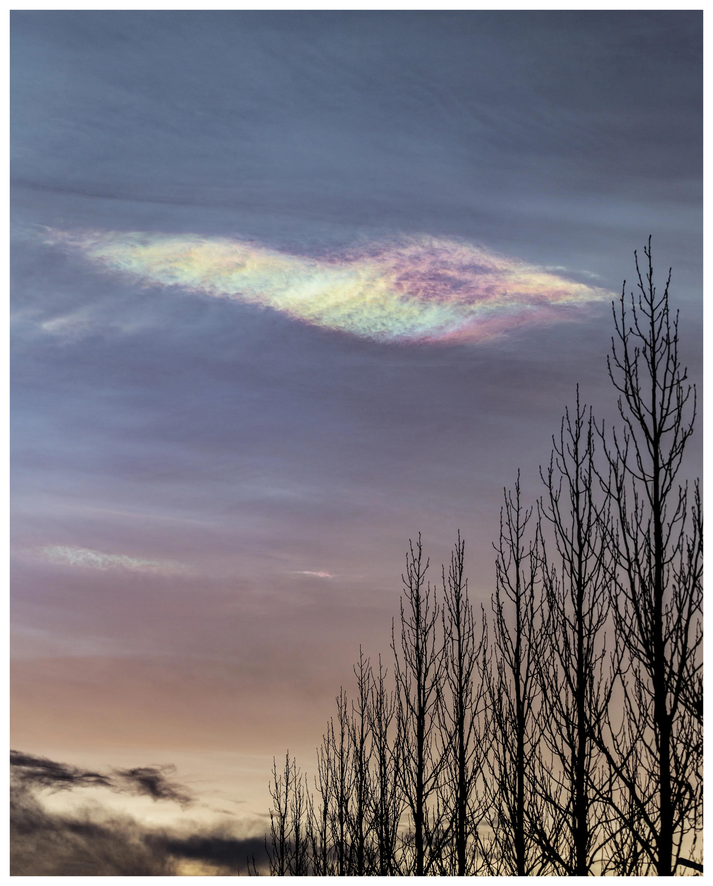 Northern_Lights_01_IG_CLR copy.jpg