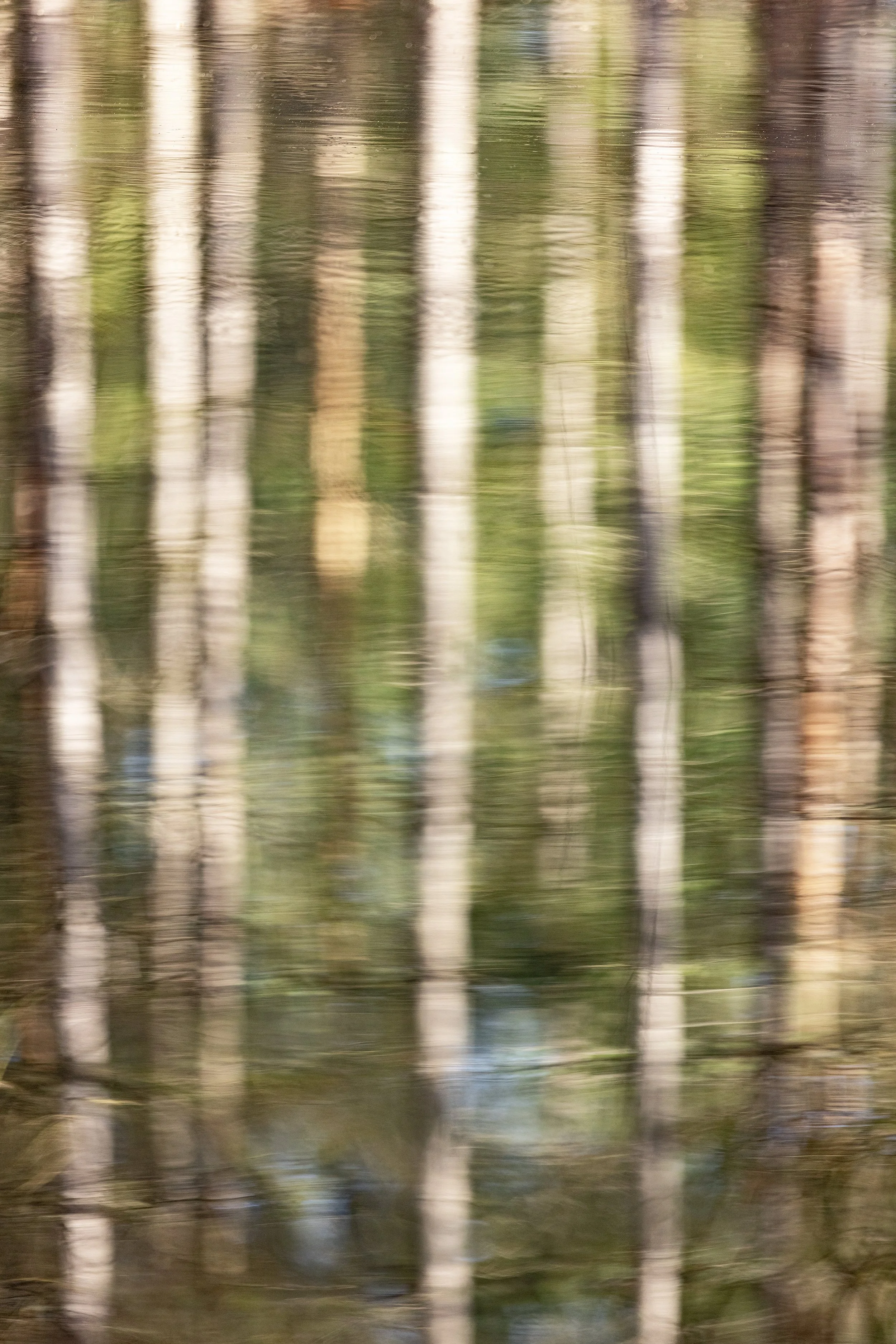 Water Reflection Motion 01_CLR_WEB.jpg