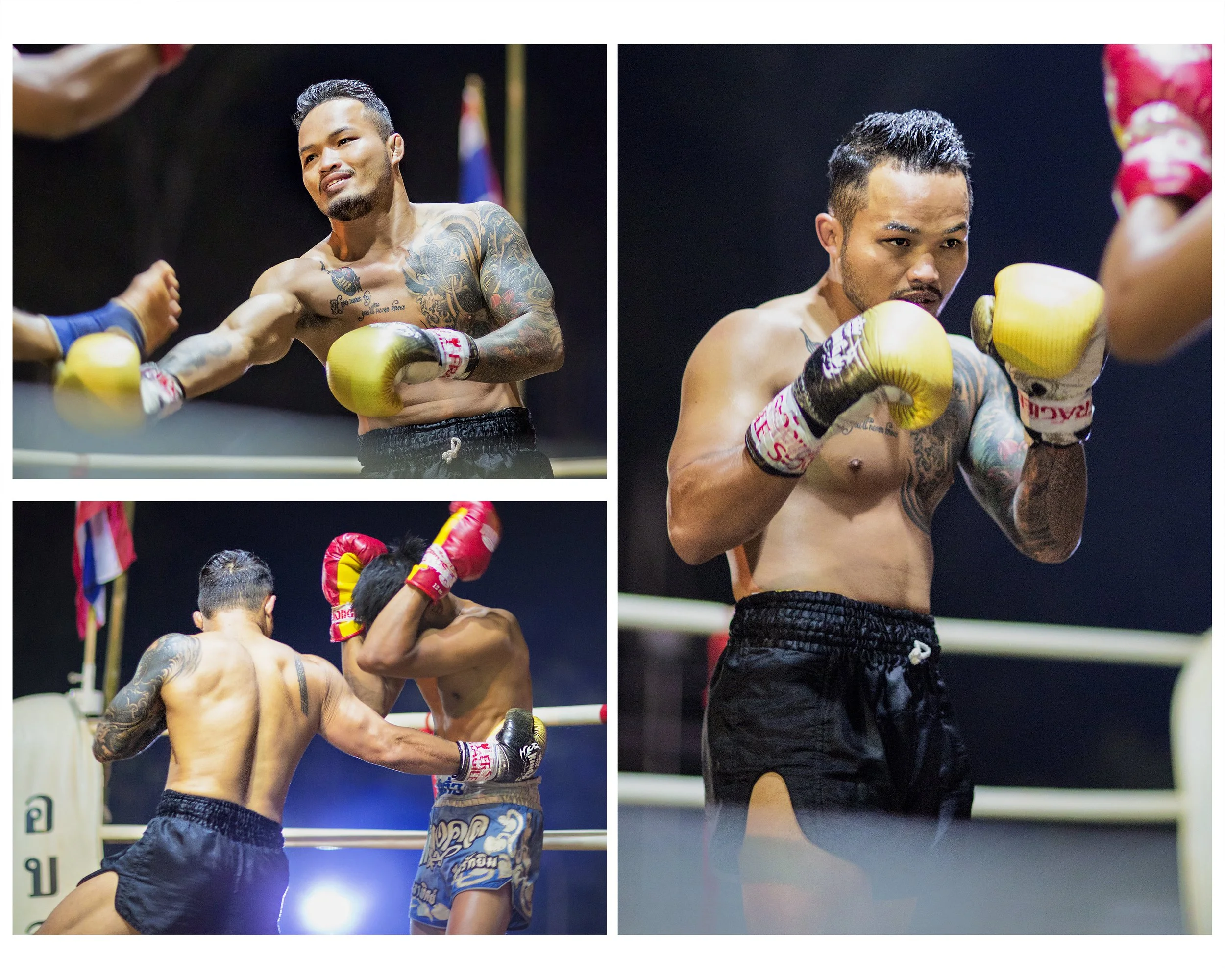 WangTMuengthoen_MuayThai_MULTI_CLR_WEB.jpg