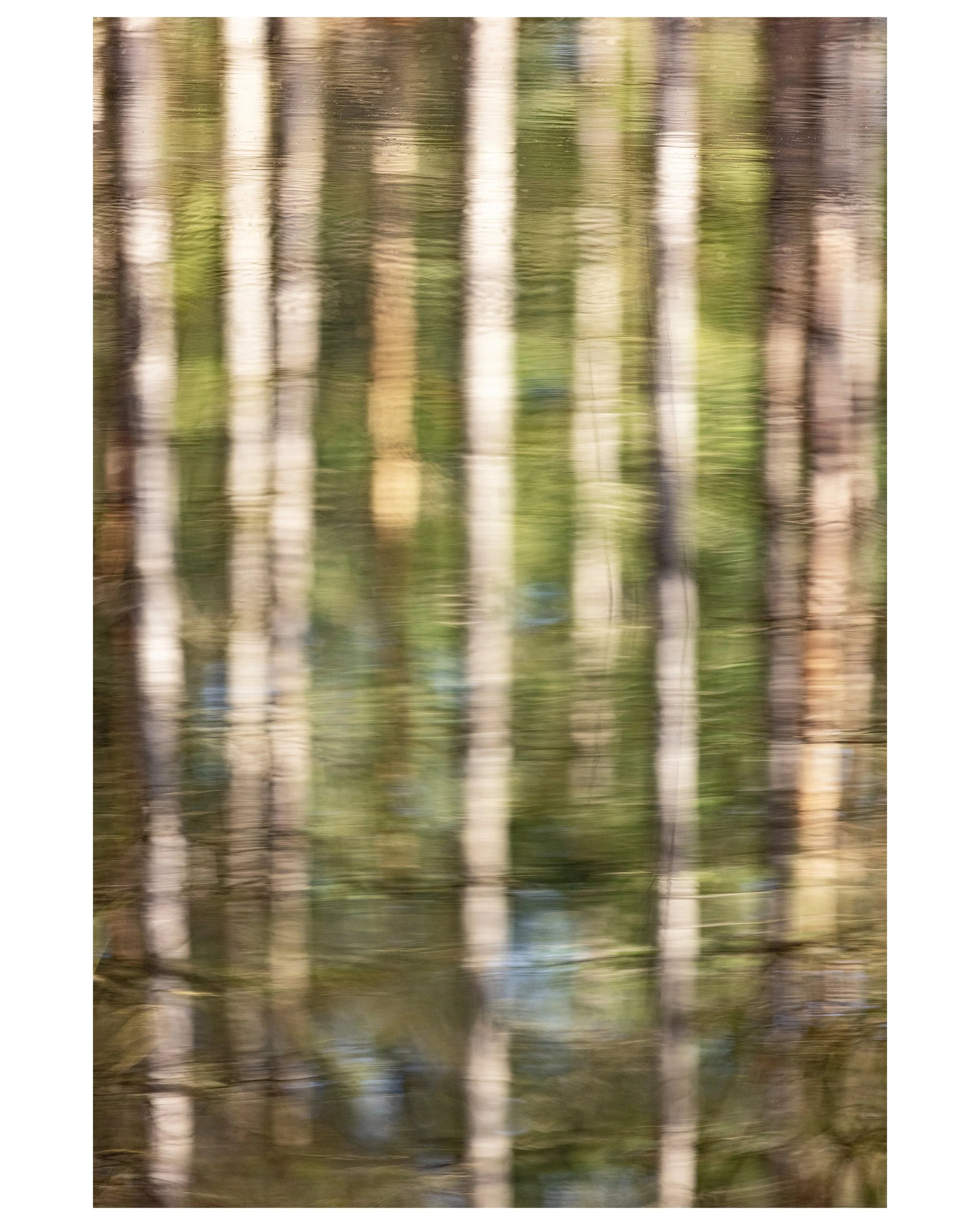 Water Reflection Motion 01_WEB_CLR.jpg