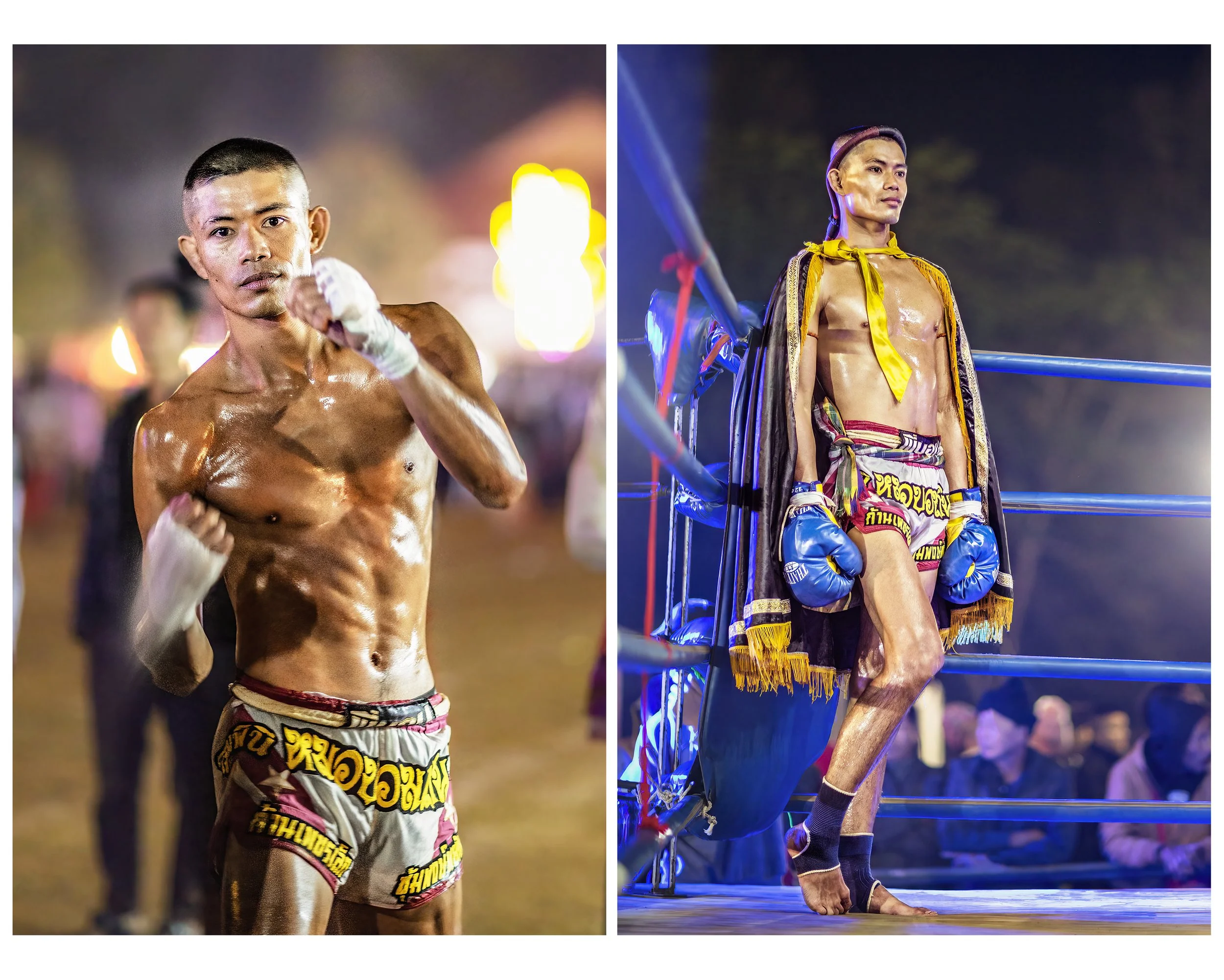 LadyBoy_MuayThai_MULTI_CLR_WEB.jpg