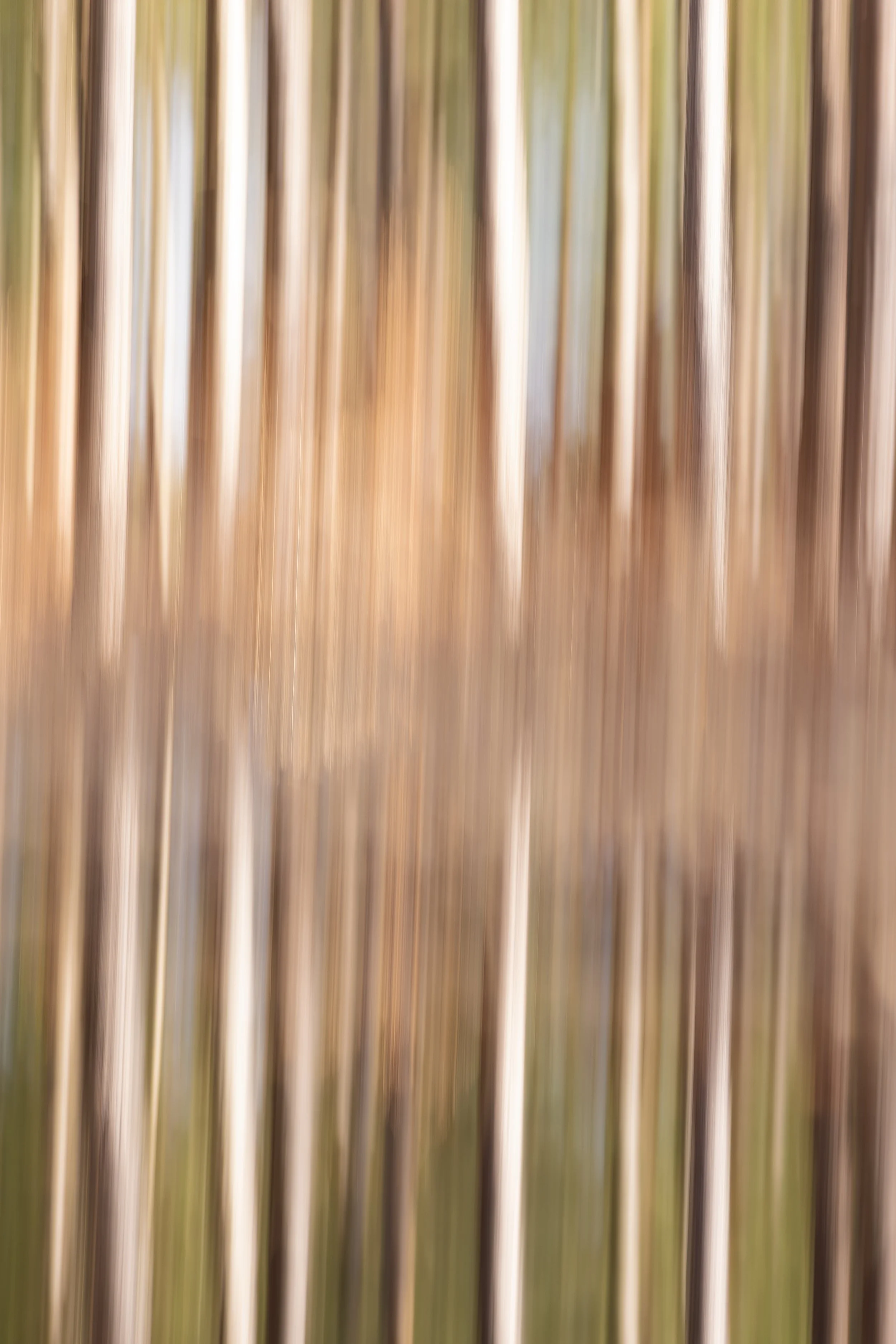 Water Reflection Motion 02_CLR_WEB.jpg