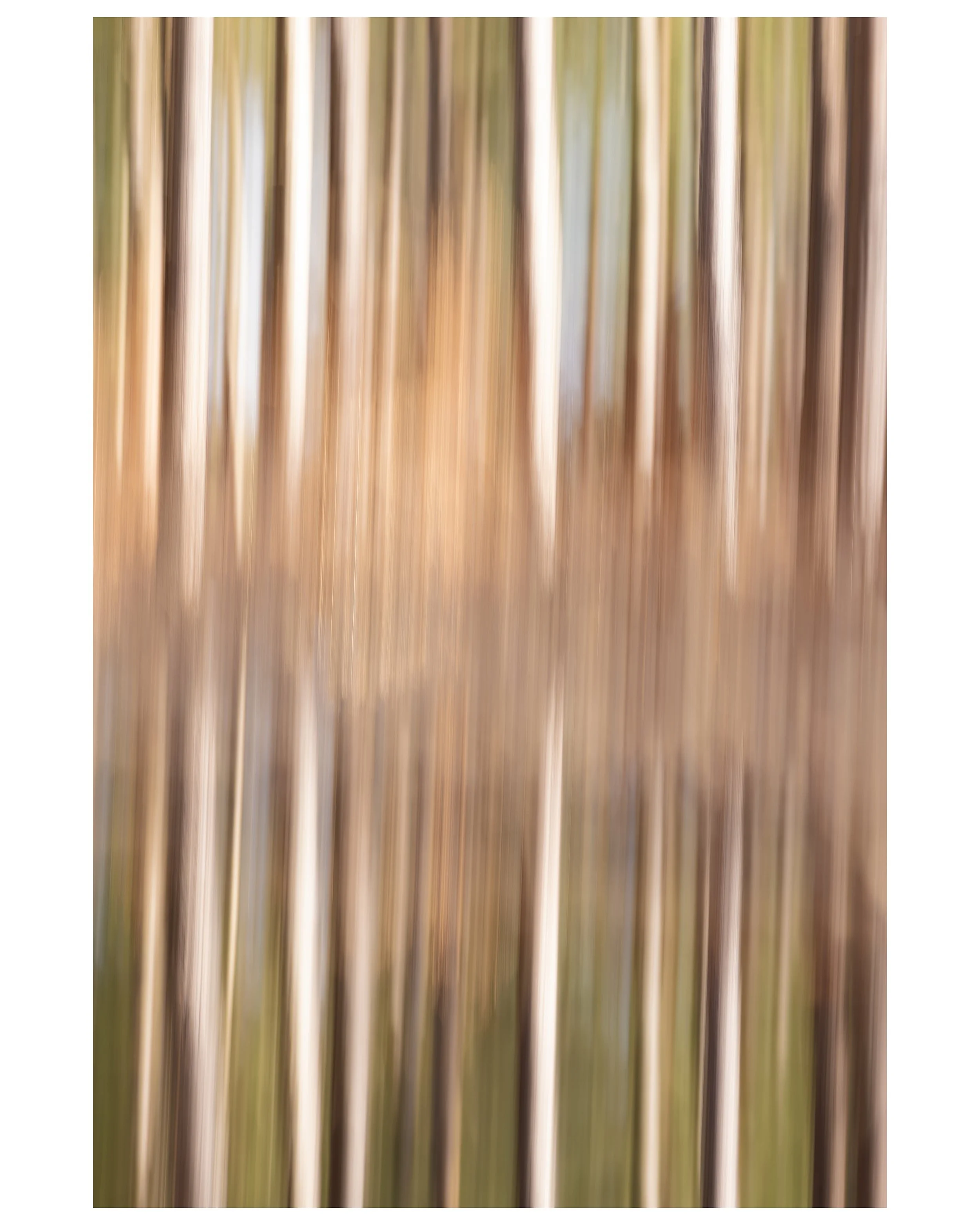Water Reflection Motion 02_WEB_CLR.jpg